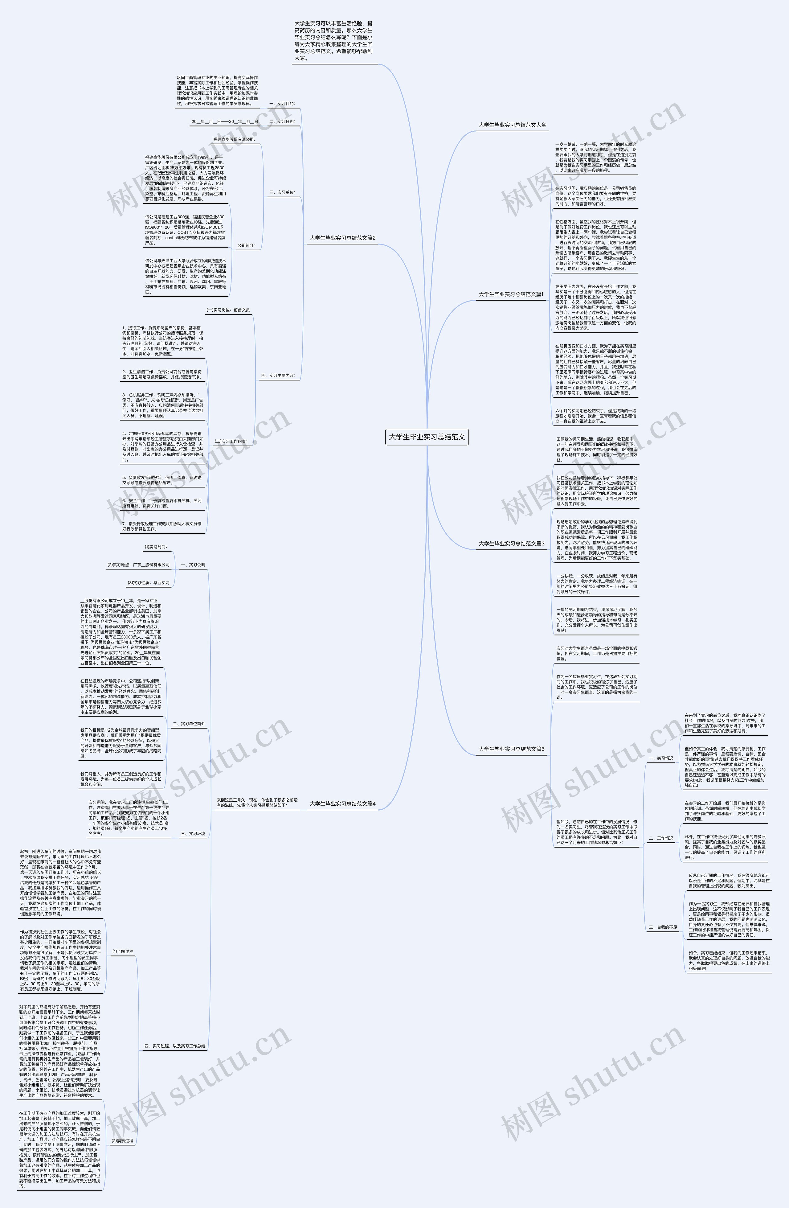 大学生毕业实习总结范文思维导图
