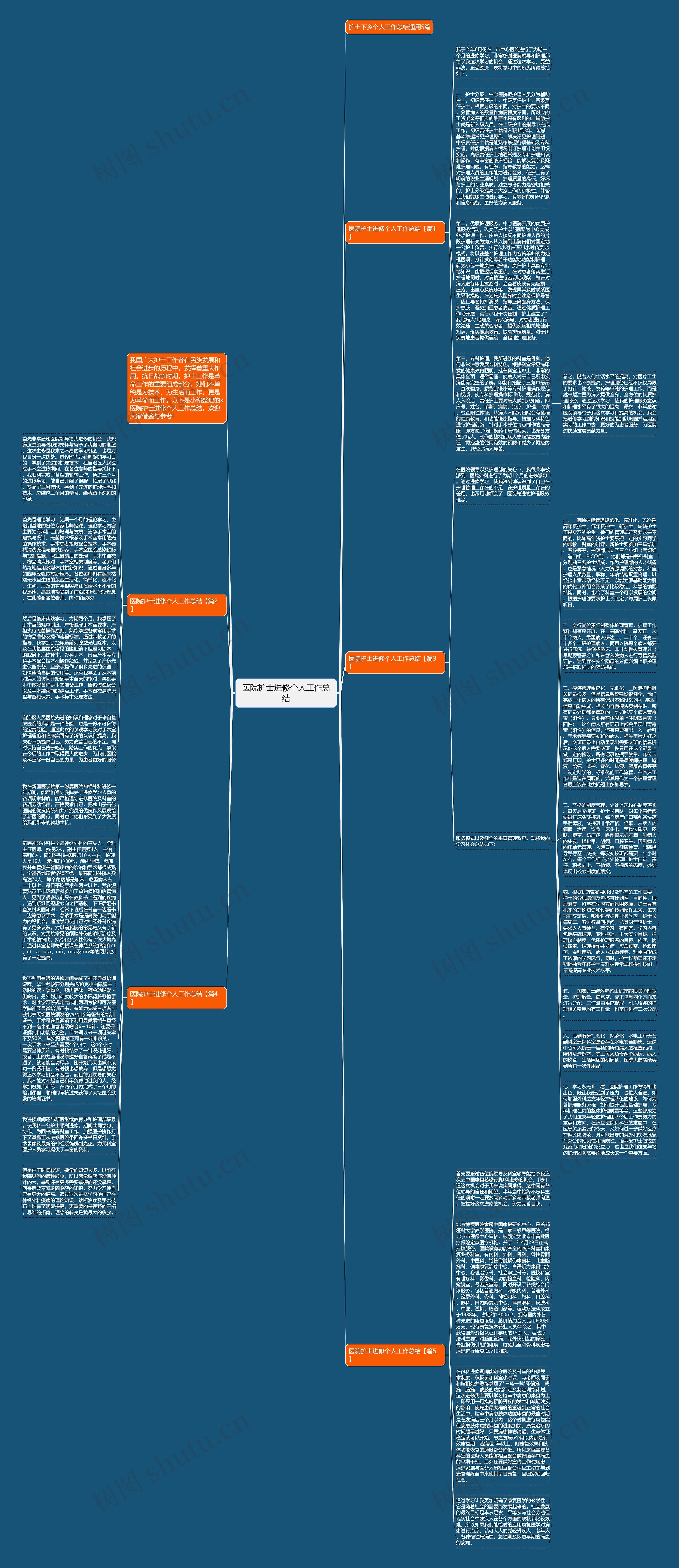医院护士进修个人工作总结思维导图