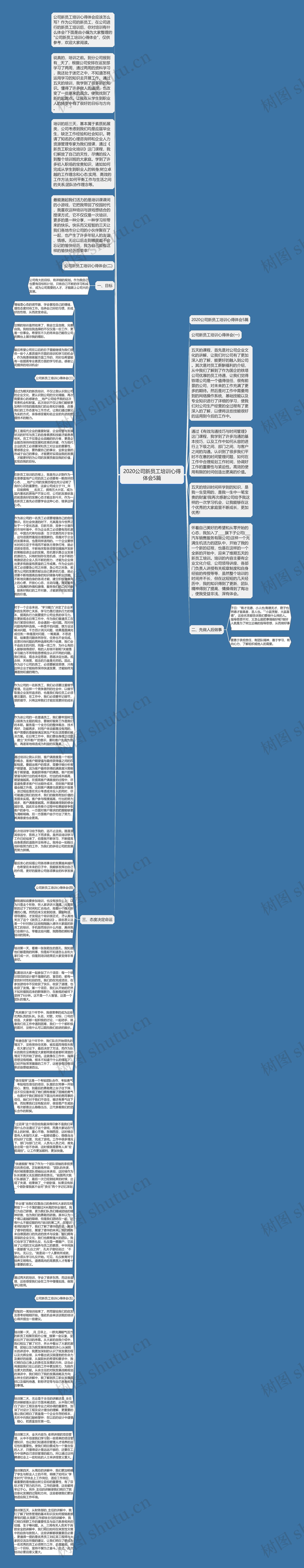 2020公司新员工培训心得体会5篇思维导图高清图 2020公司新员工培训心得体会5篇思维导图