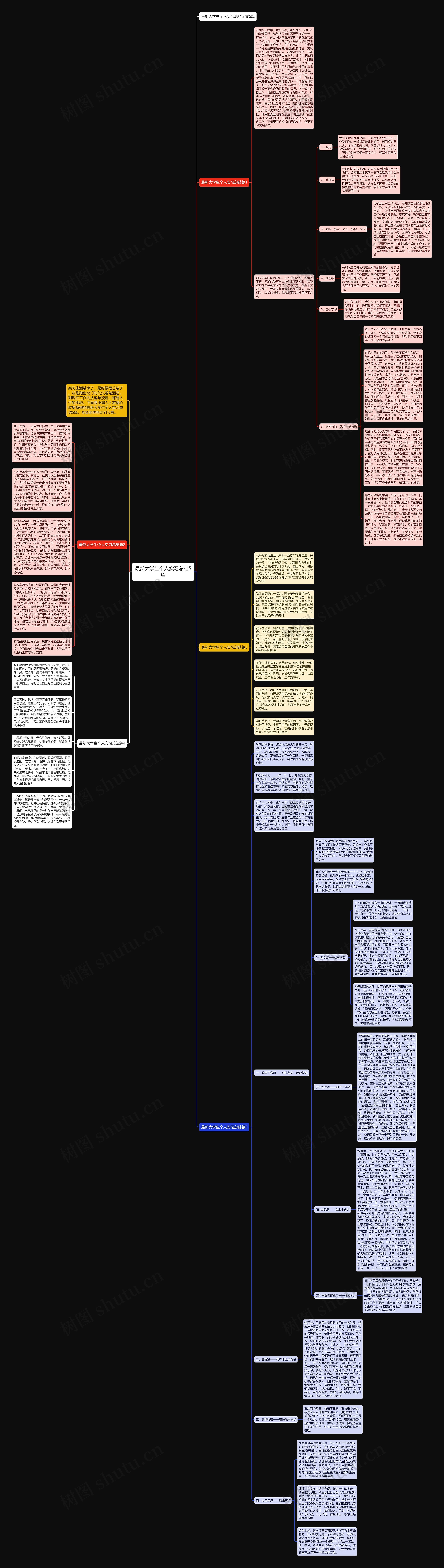 最新大学生个人实习总结5篇思维导图