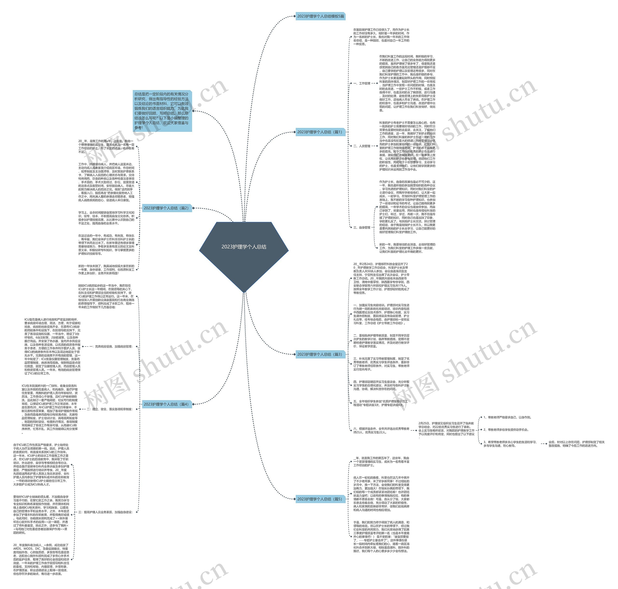 2023护理学个人总结思维导图