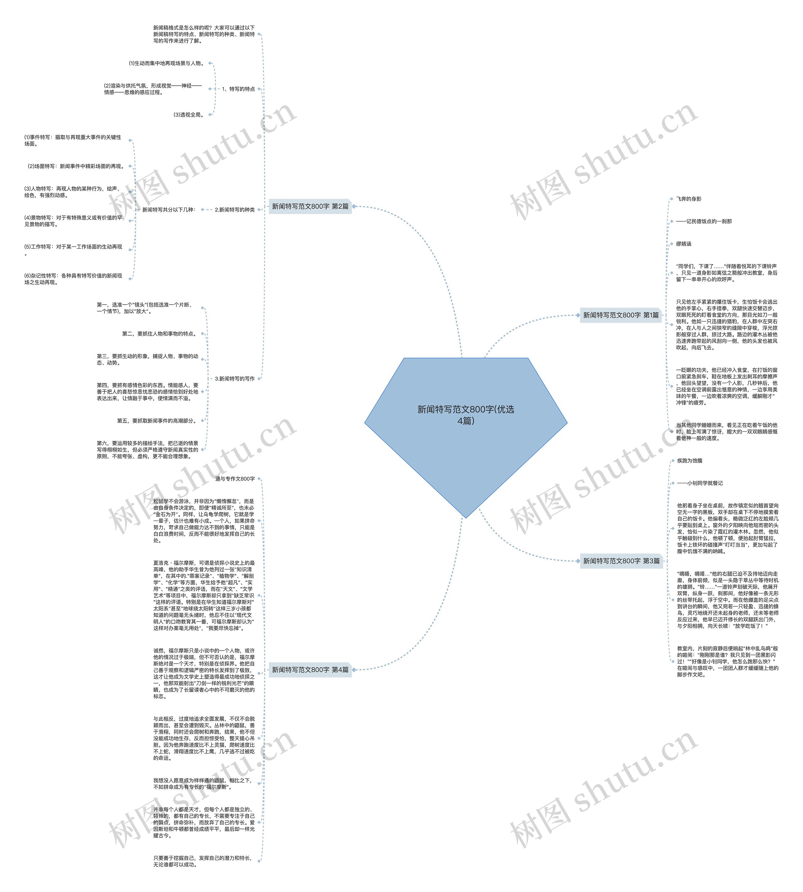 新闻特写范文800字(优选4篇)思维导图