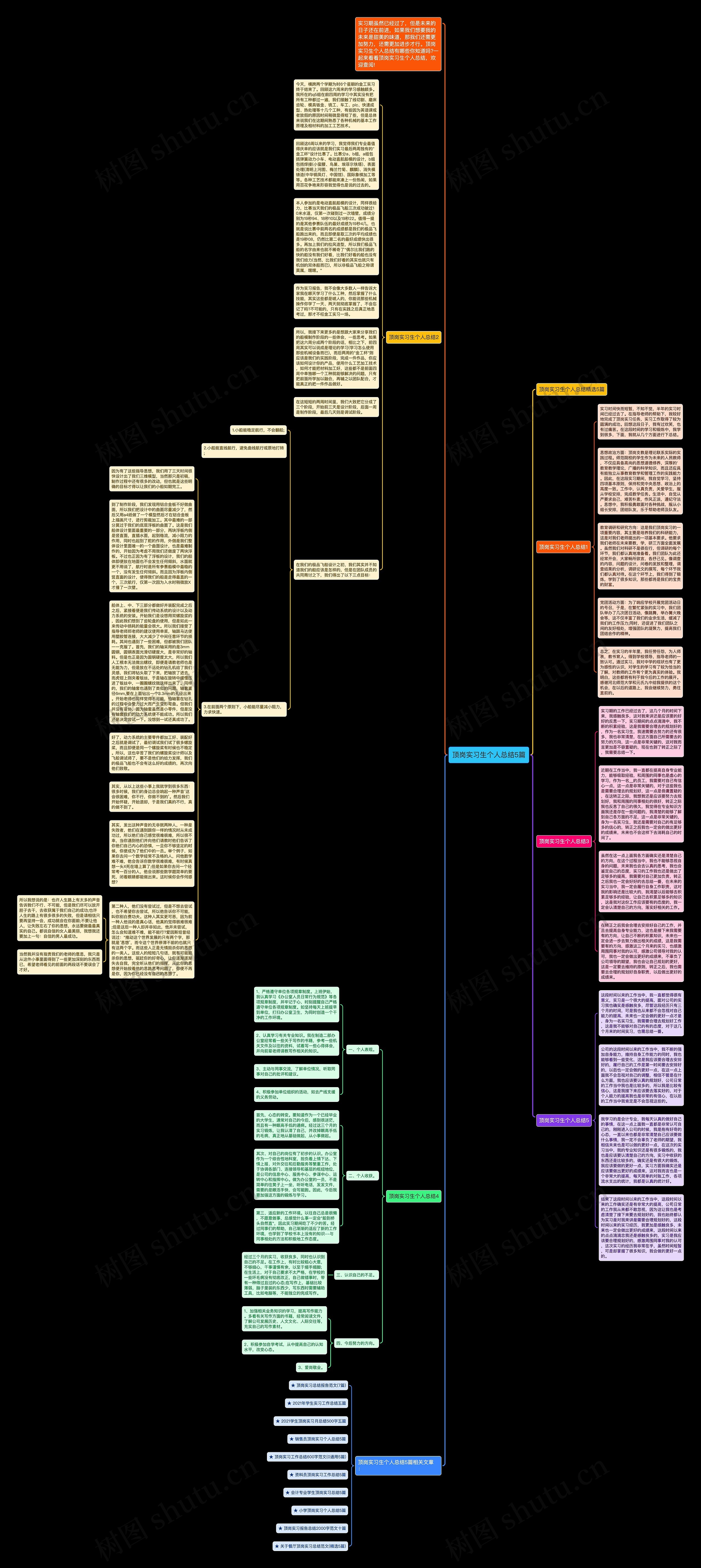 顶岗实习生个人总结5篇思维导图
