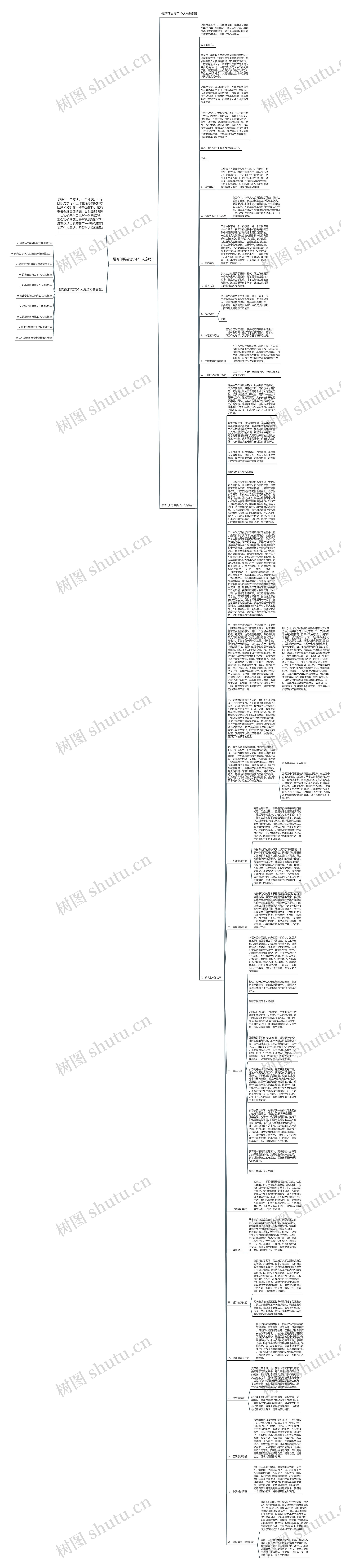 最新顶岗实习个人总结思维导图