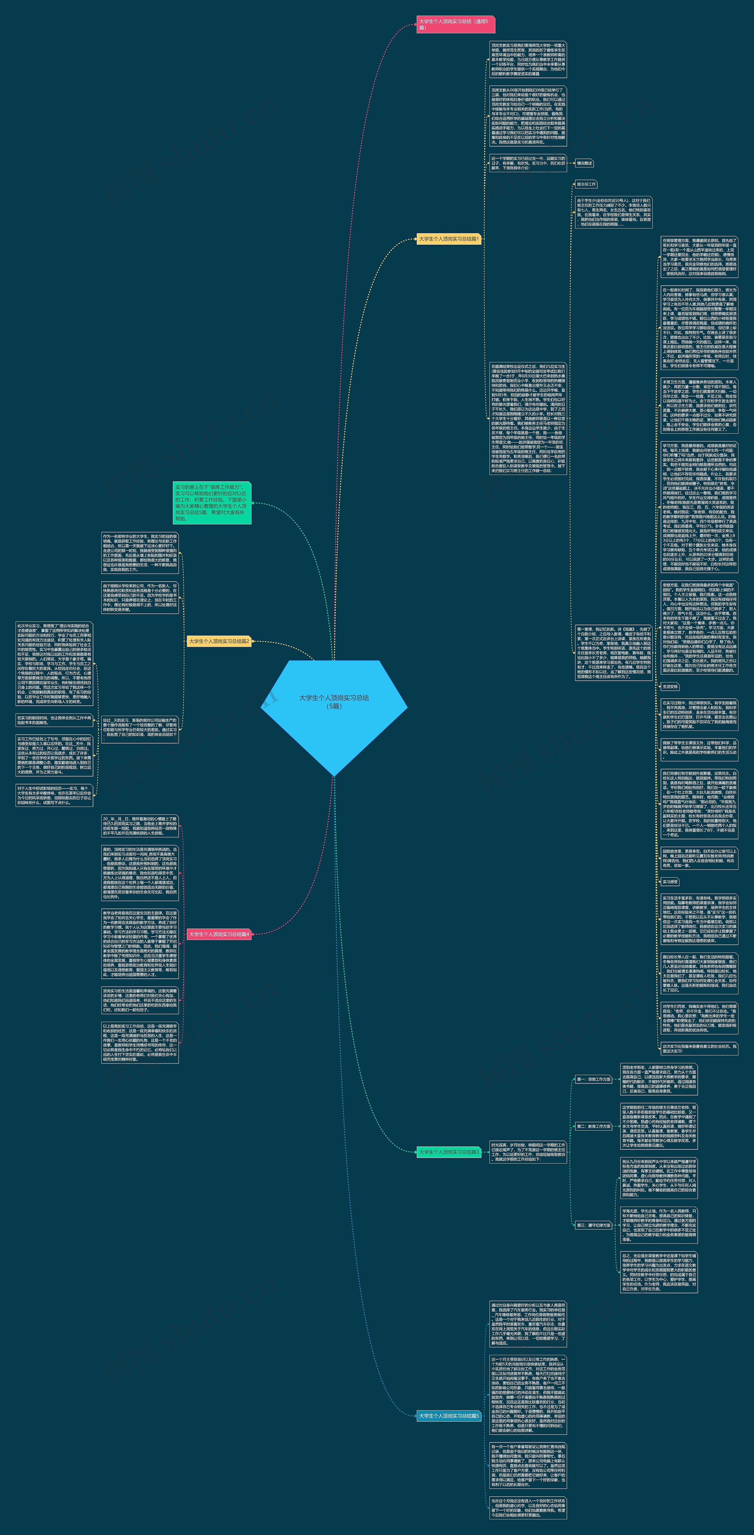 大学生个人顶岗实习总结（5篇）思维导图