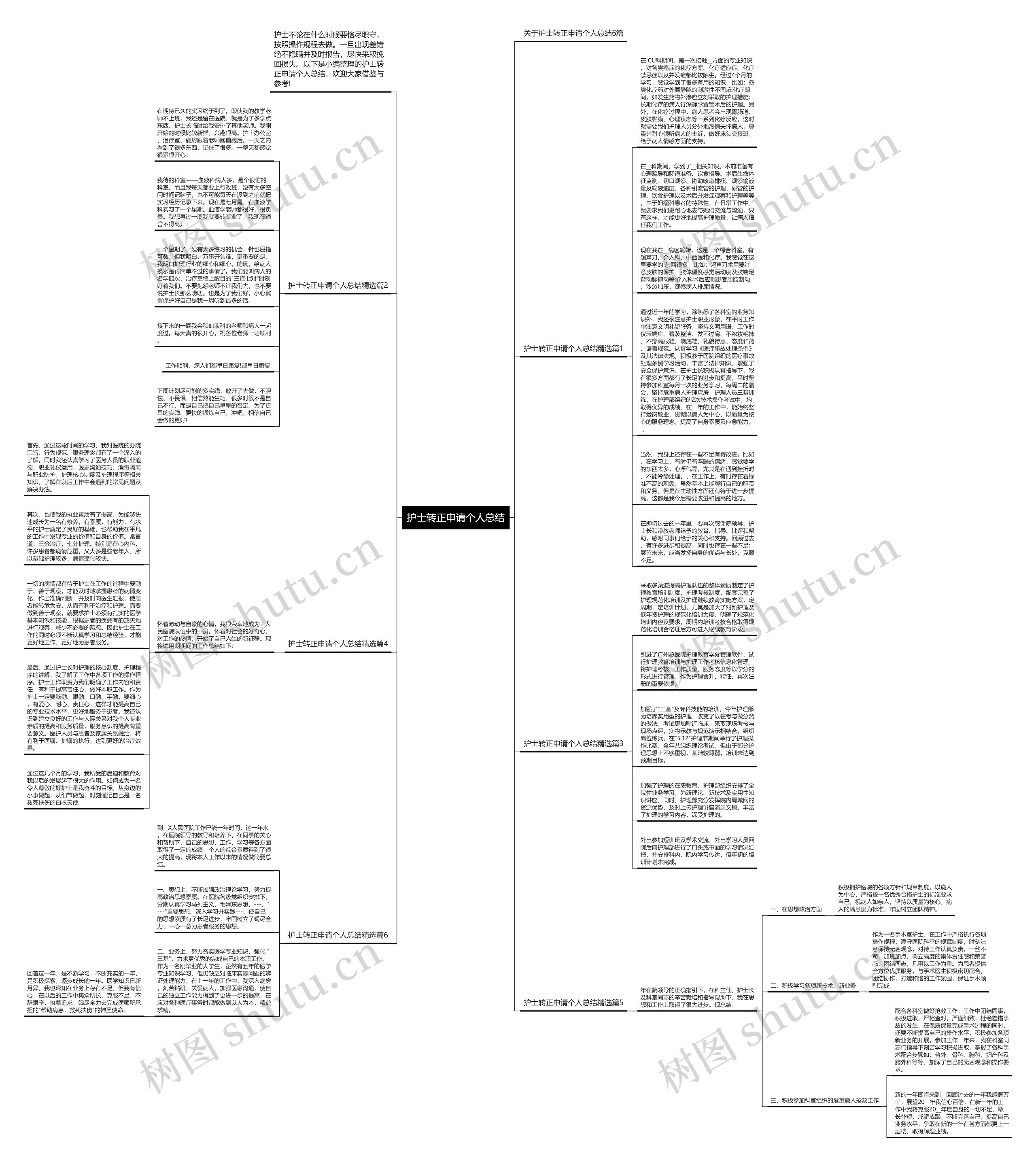 护士转正申请个人总结思维导图