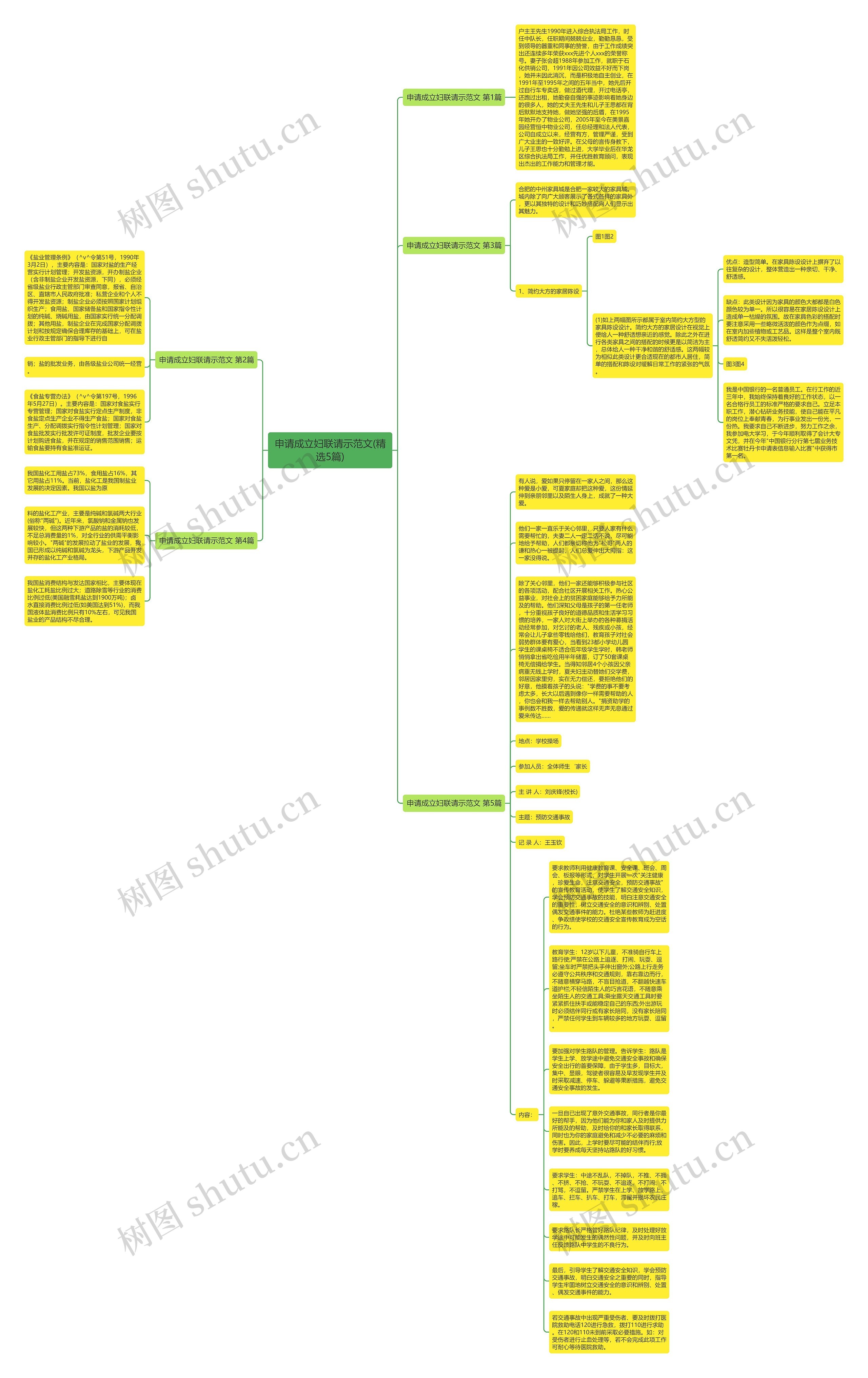 申请成立妇联请示范文(精选5篇)思维导图