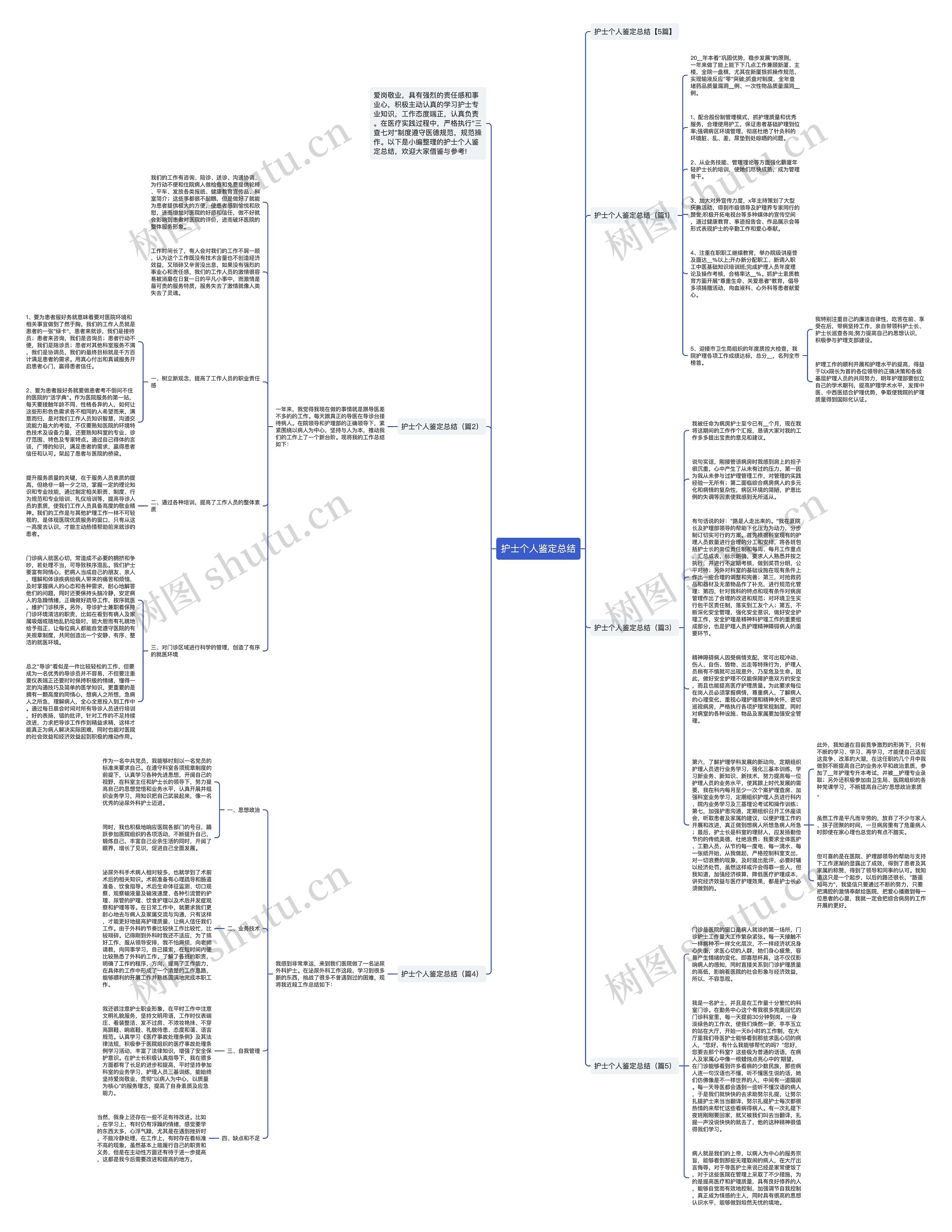 护士个人鉴定总结思维导图