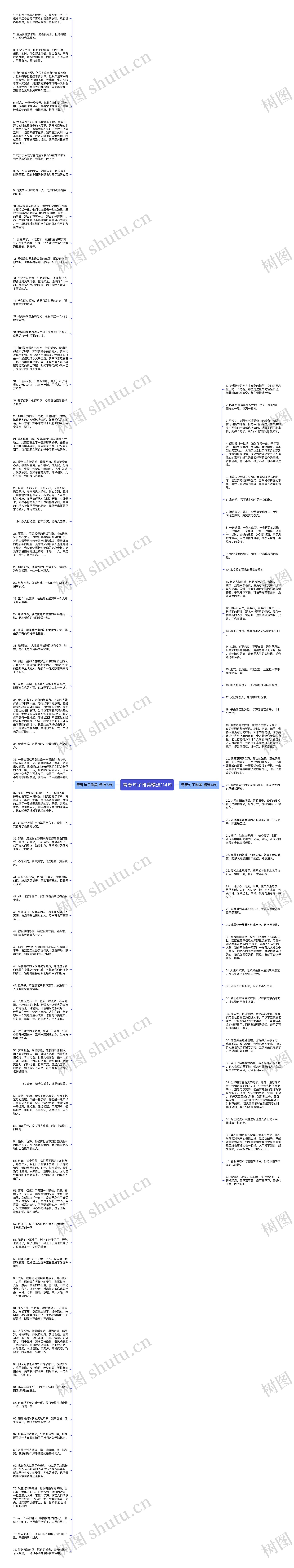 青春句子唯美精选114句思维导图