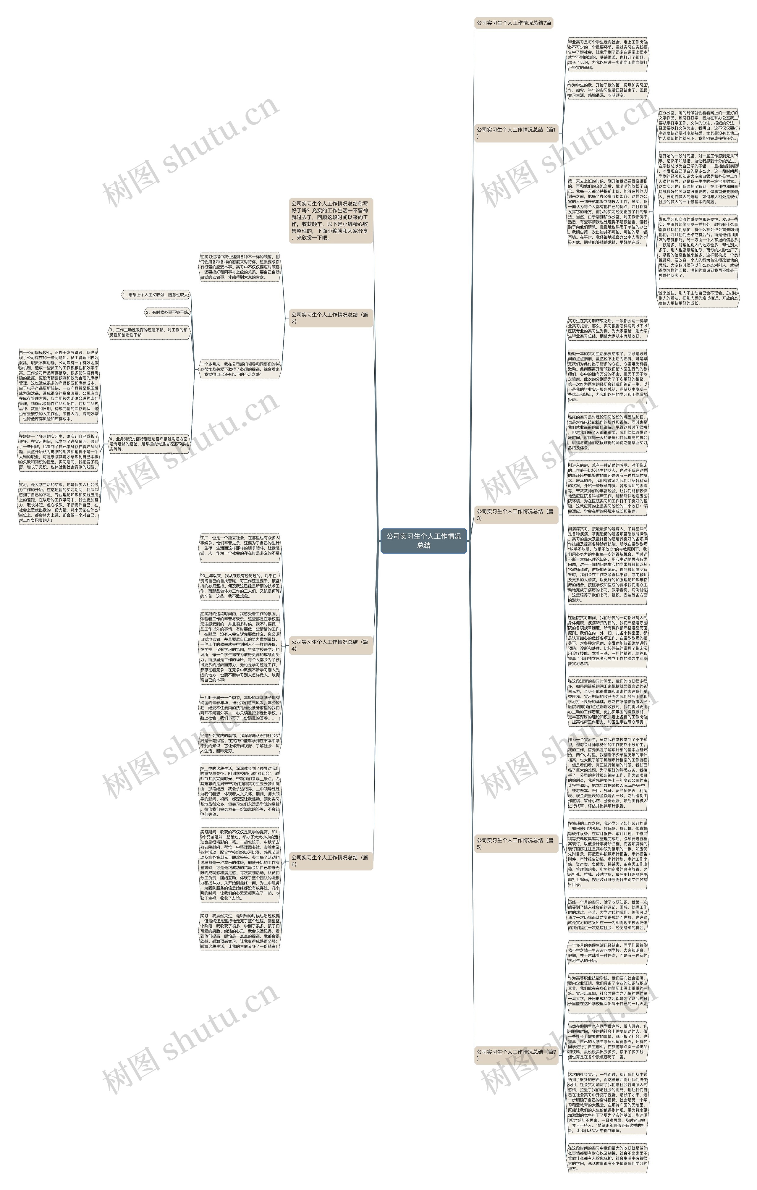 公司实习生个人工作情况总结思维导图