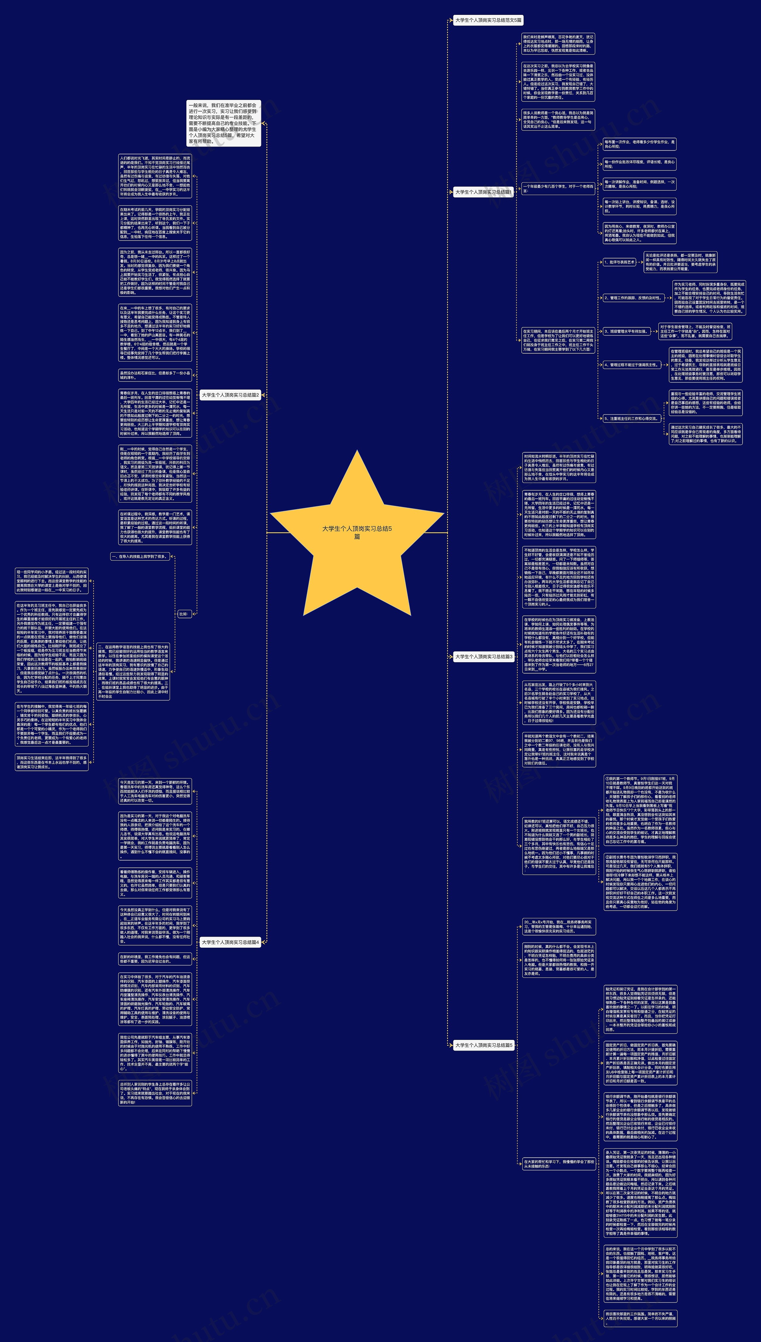 大学生个人顶岗实习总结5篇思维导图