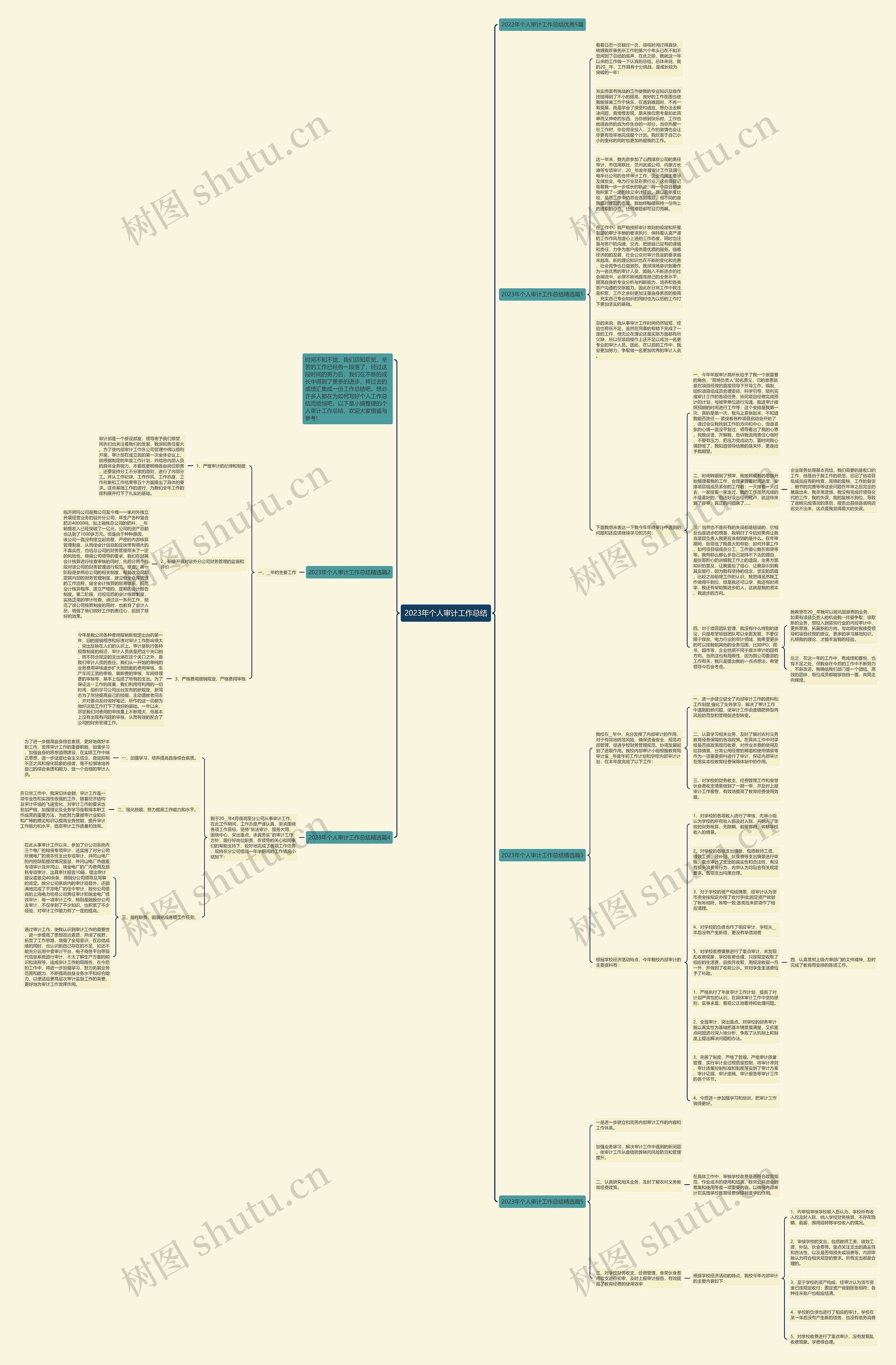 2023年个人审计工作总结思维导图