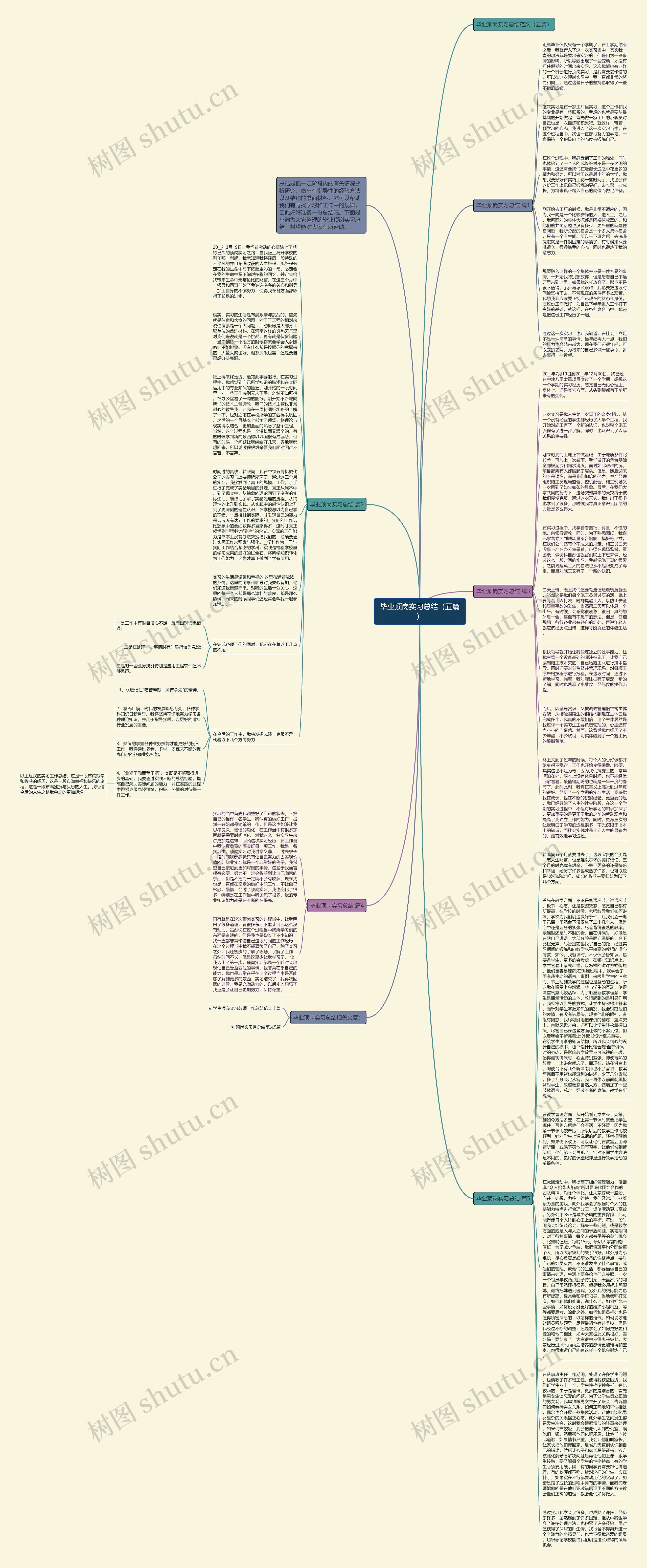 毕业顶岗实习总结（五篇）思维导图