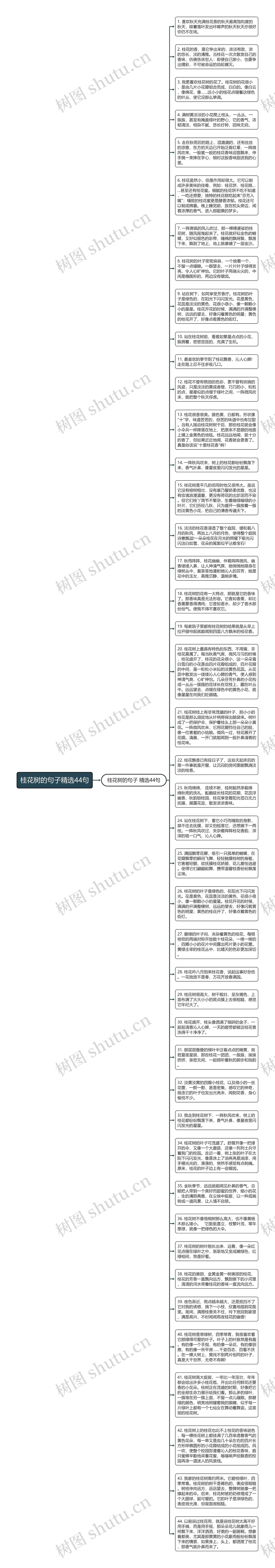 桂花树的句子精选44句思维导图