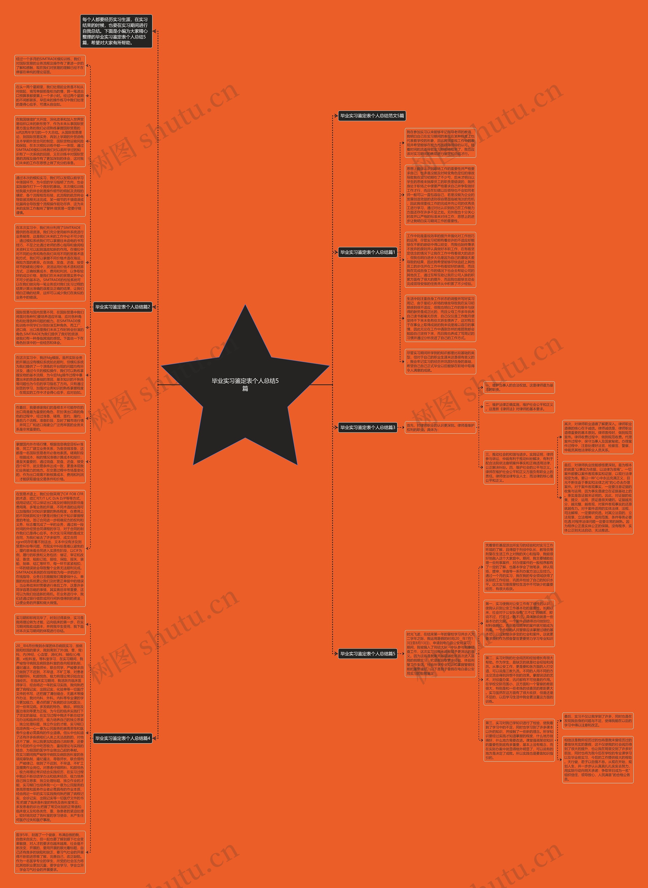 毕业实习鉴定表个人总结5篇思维导图