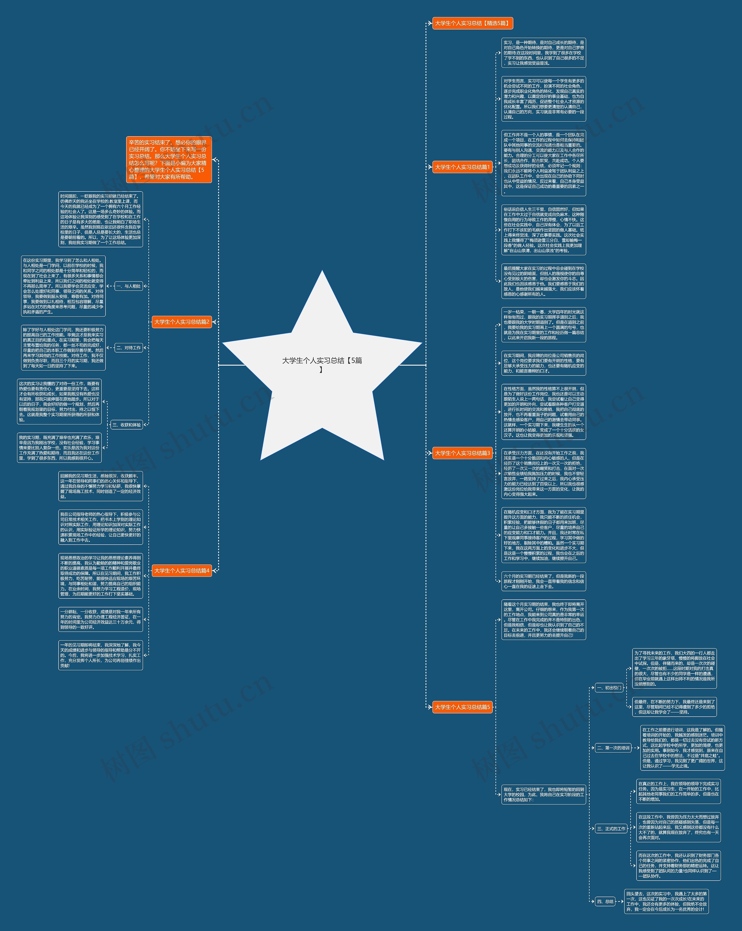 大学生个人实习总结【5篇】思维导图