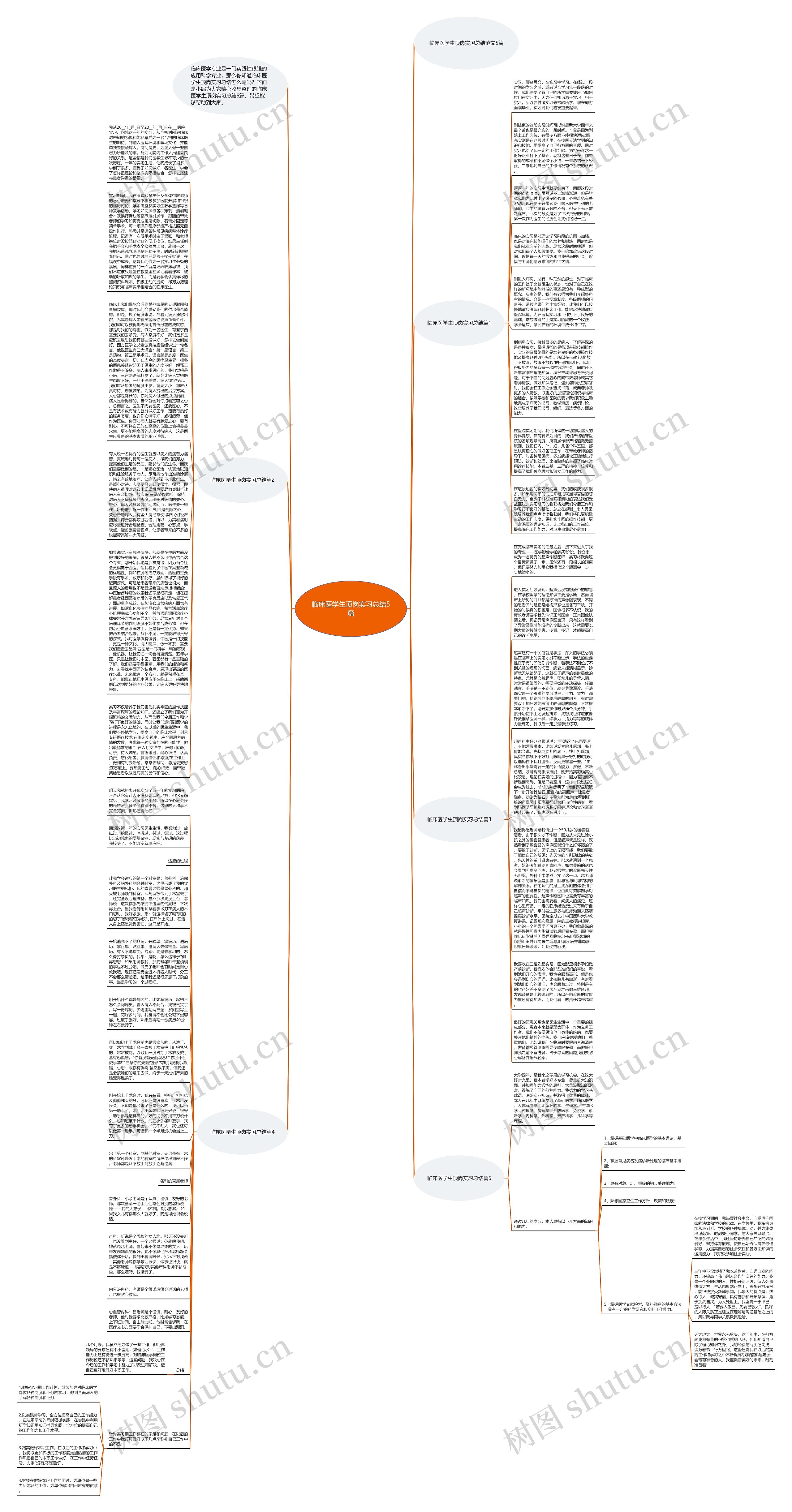临床医学生顶岗实习总结5篇思维导图