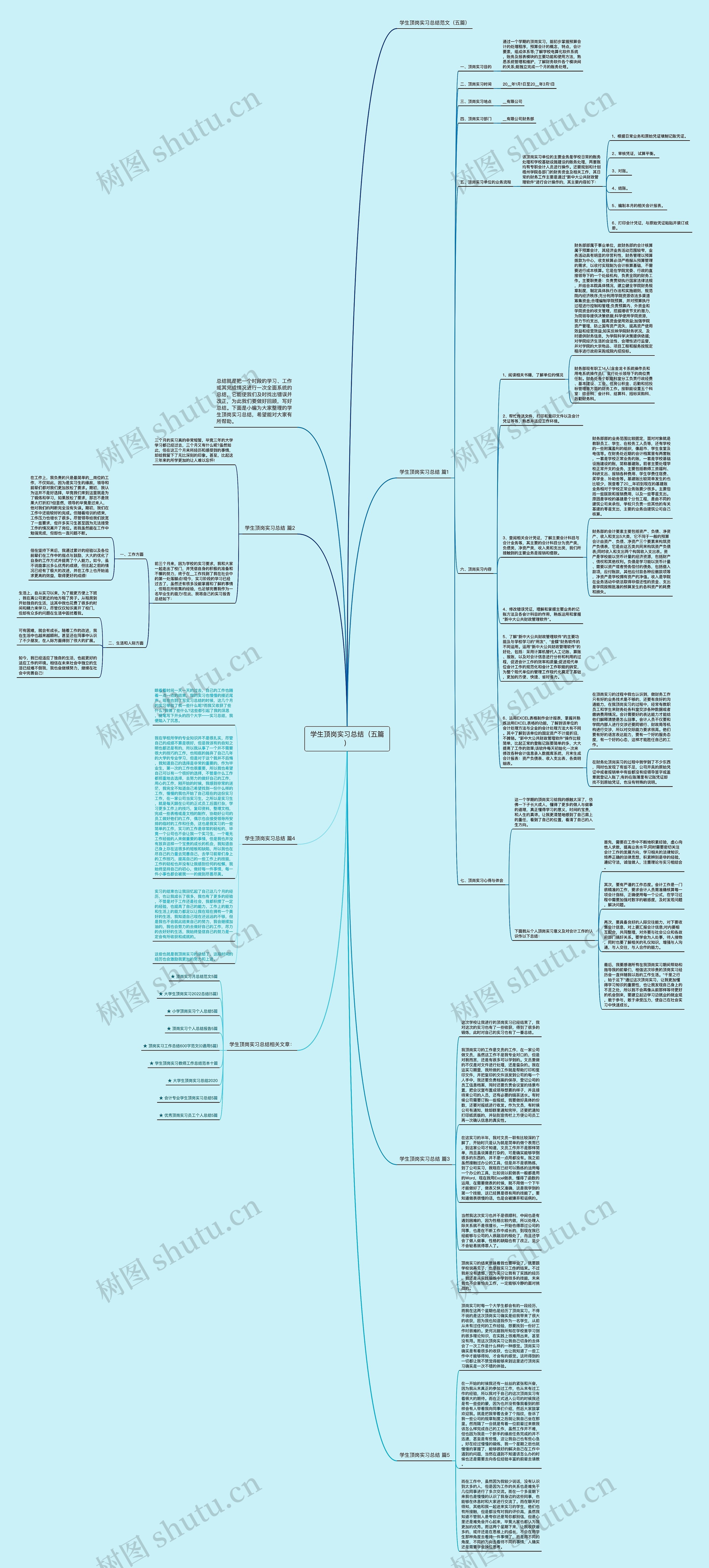 学生顶岗实习总结（五篇）思维导图