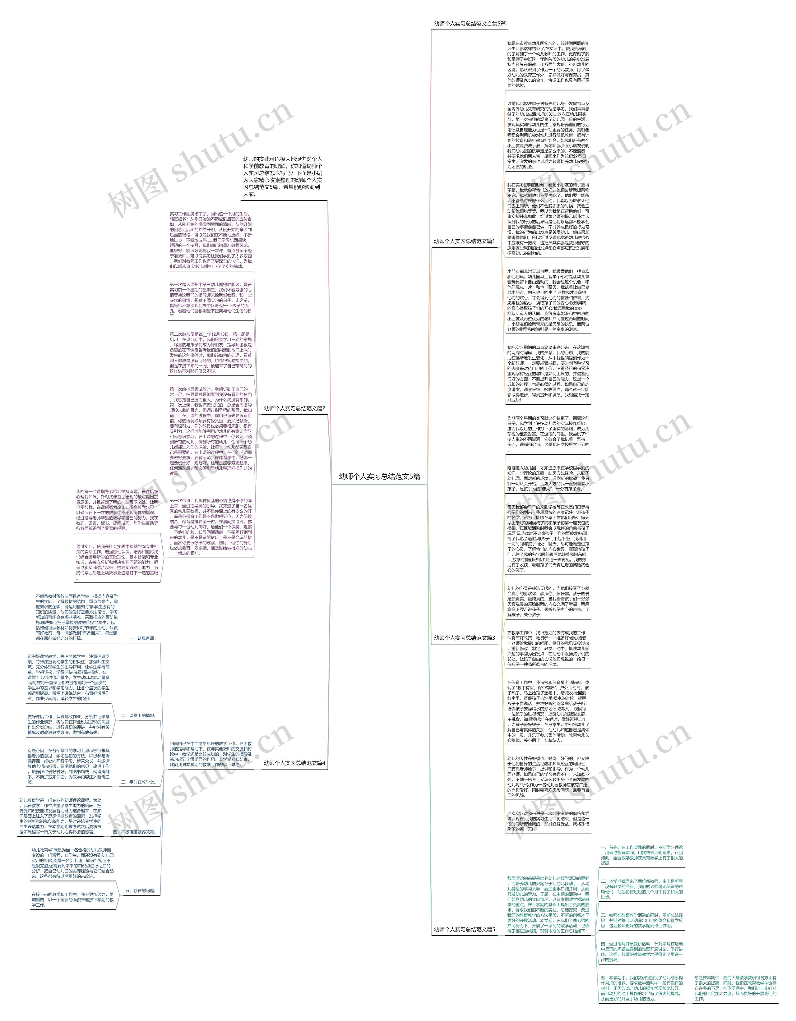 幼师个人实习总结范文5篇思维导图