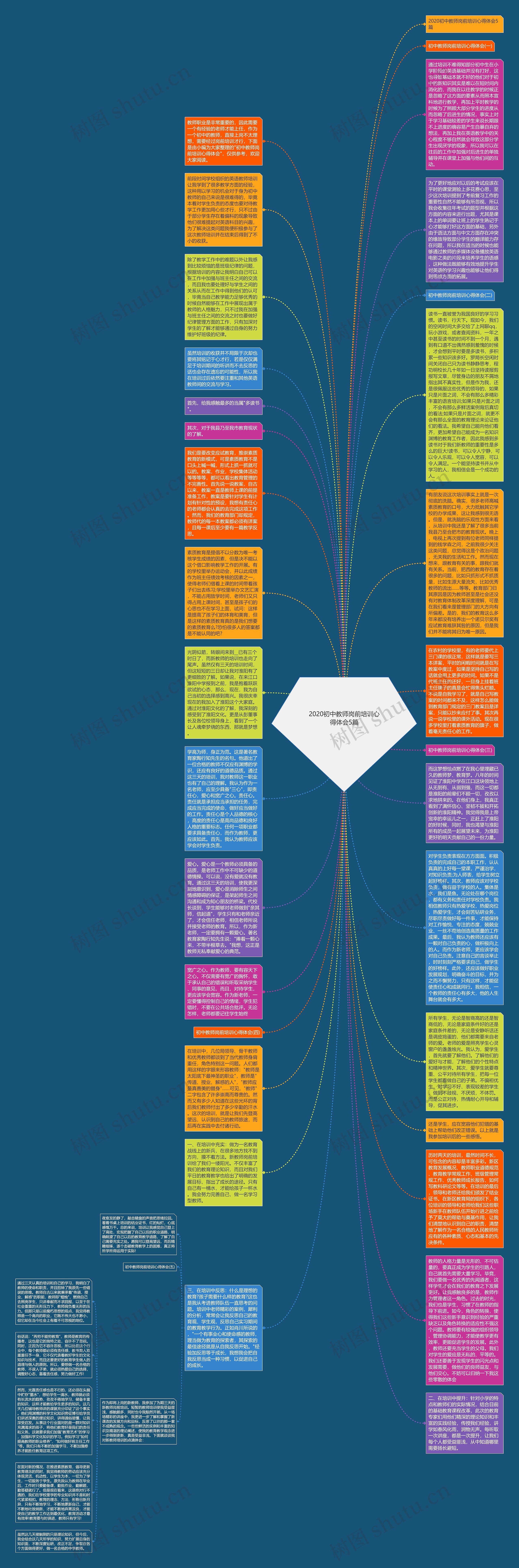 2020初中教师岗前培训心得体会5篇思维导图