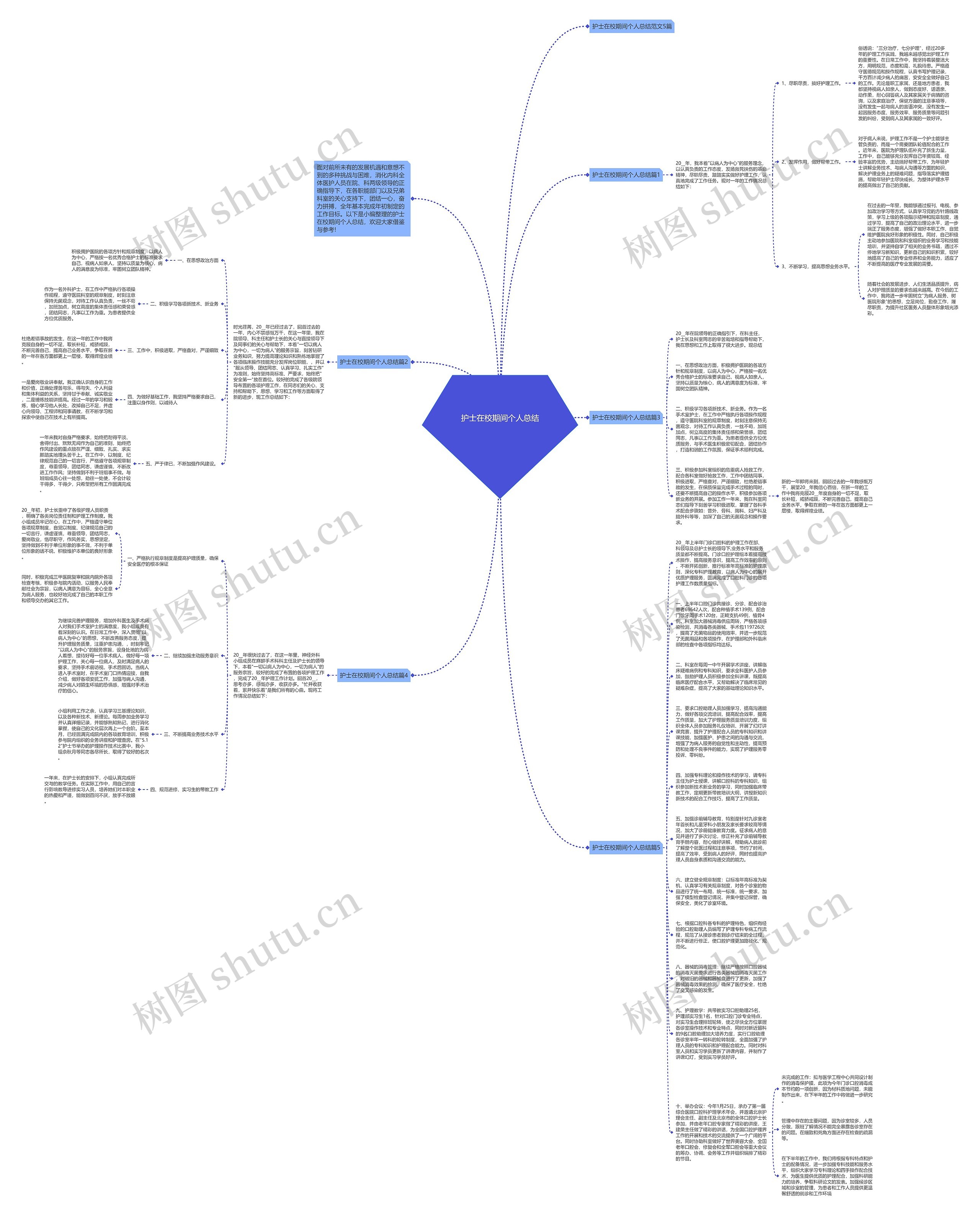 护士在校期间个人总结思维导图