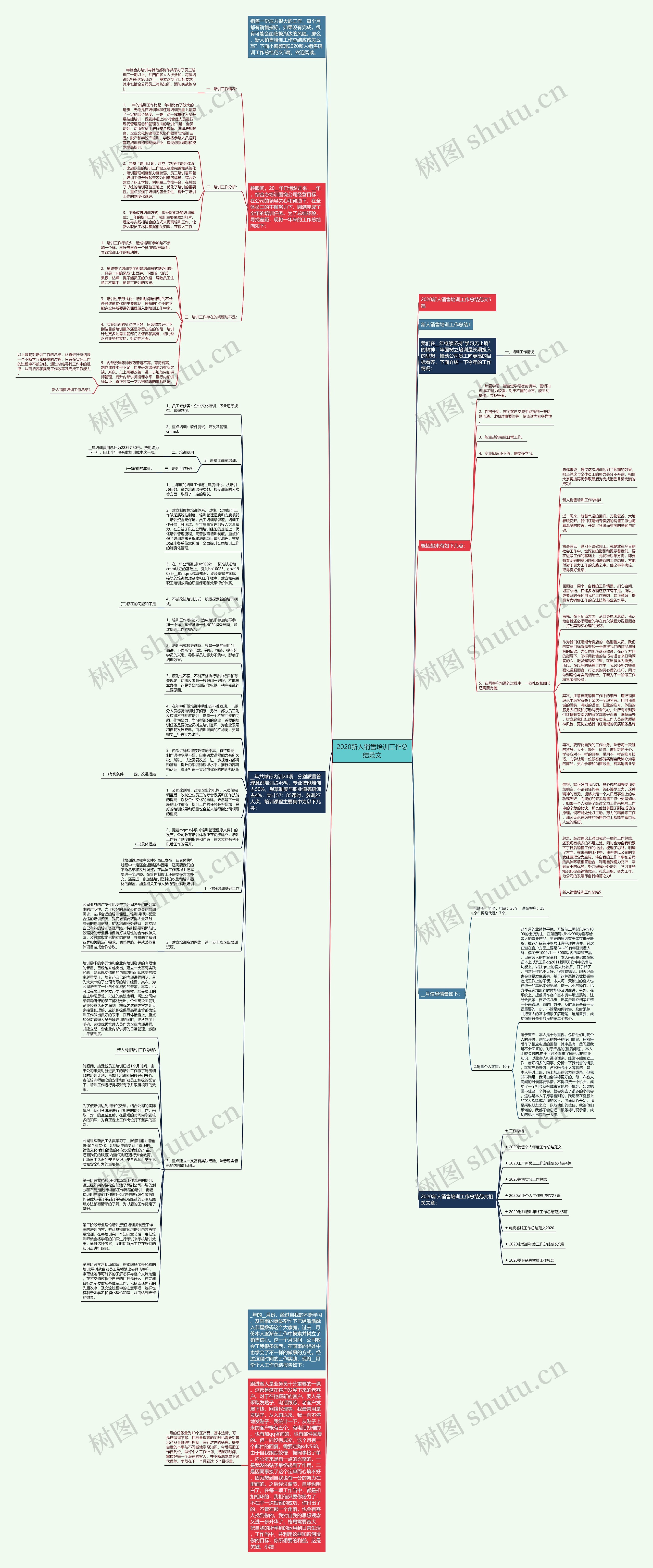2020新人销售培训工作总结范文思维导图