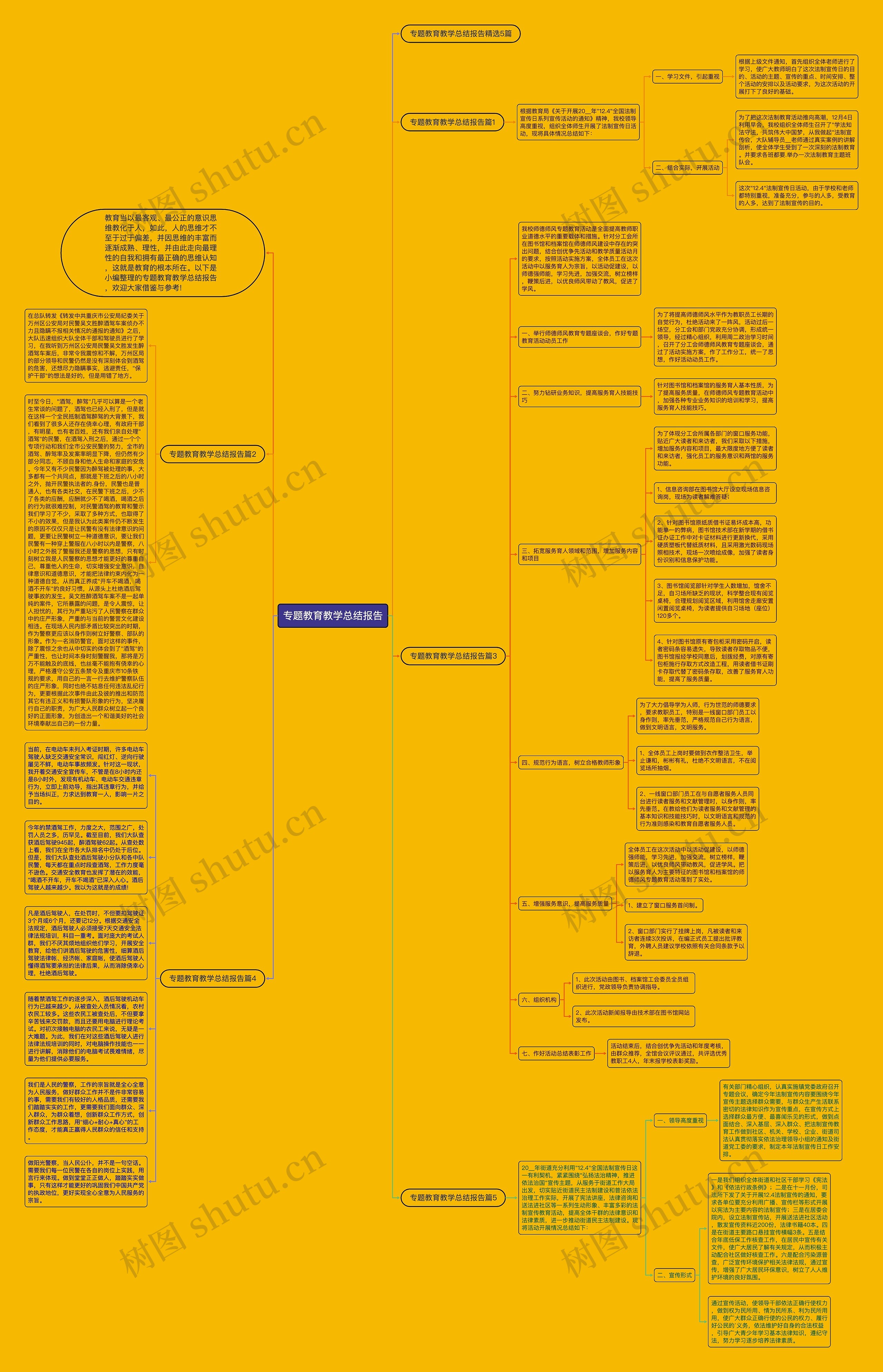 专题教育教学总结报告思维导图