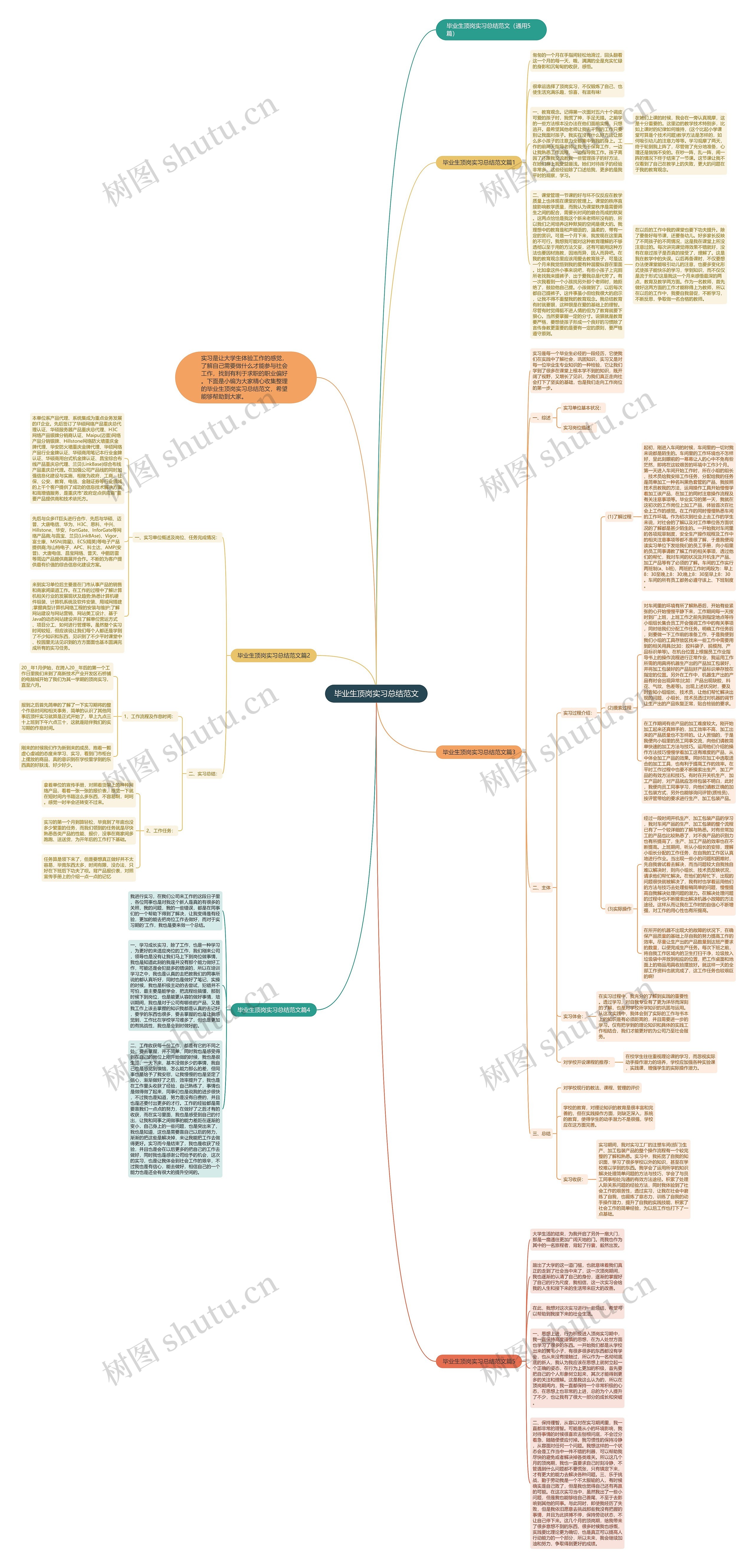 毕业生顶岗实习总结范文思维导图