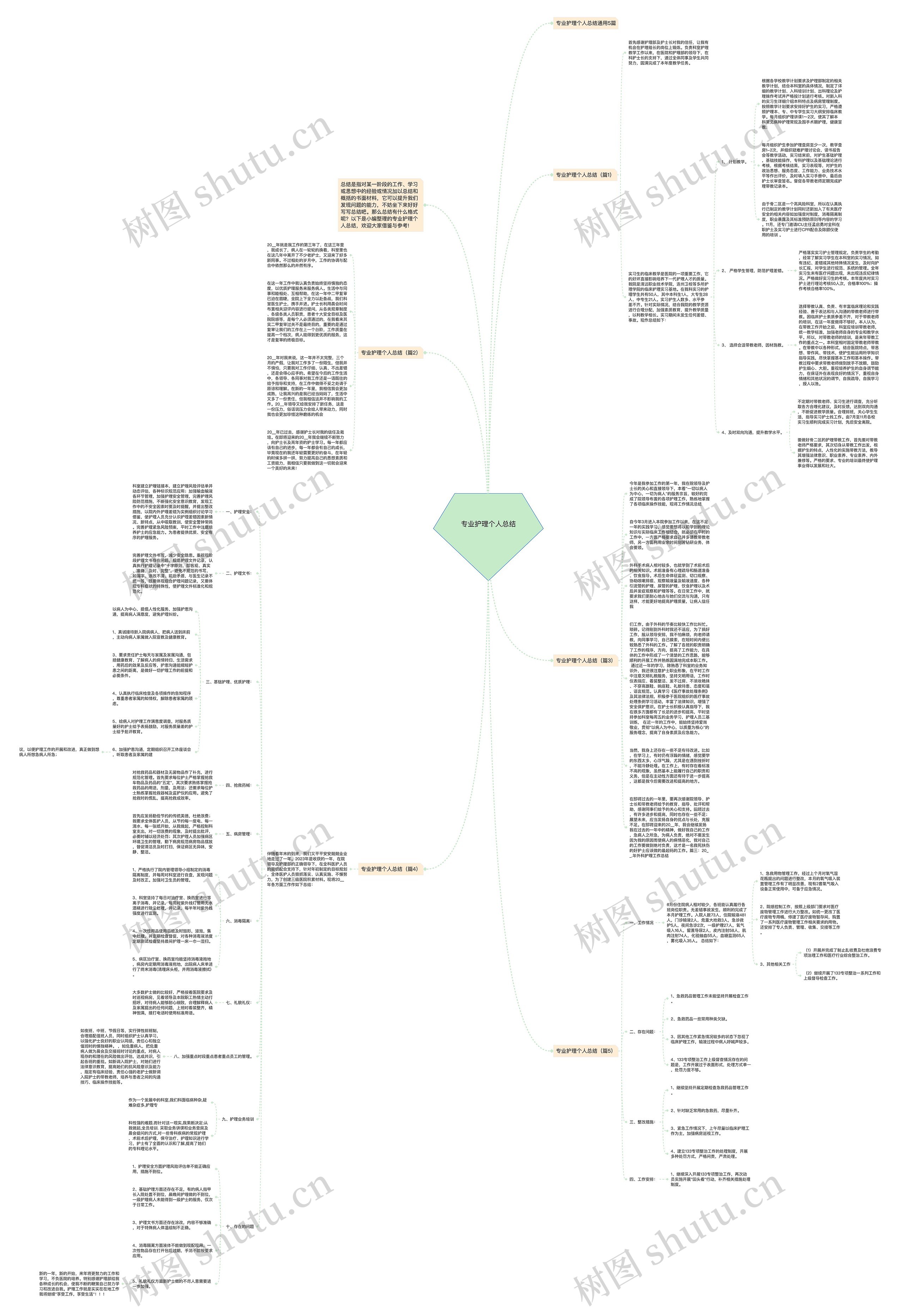 专业护理个人总结思维导图