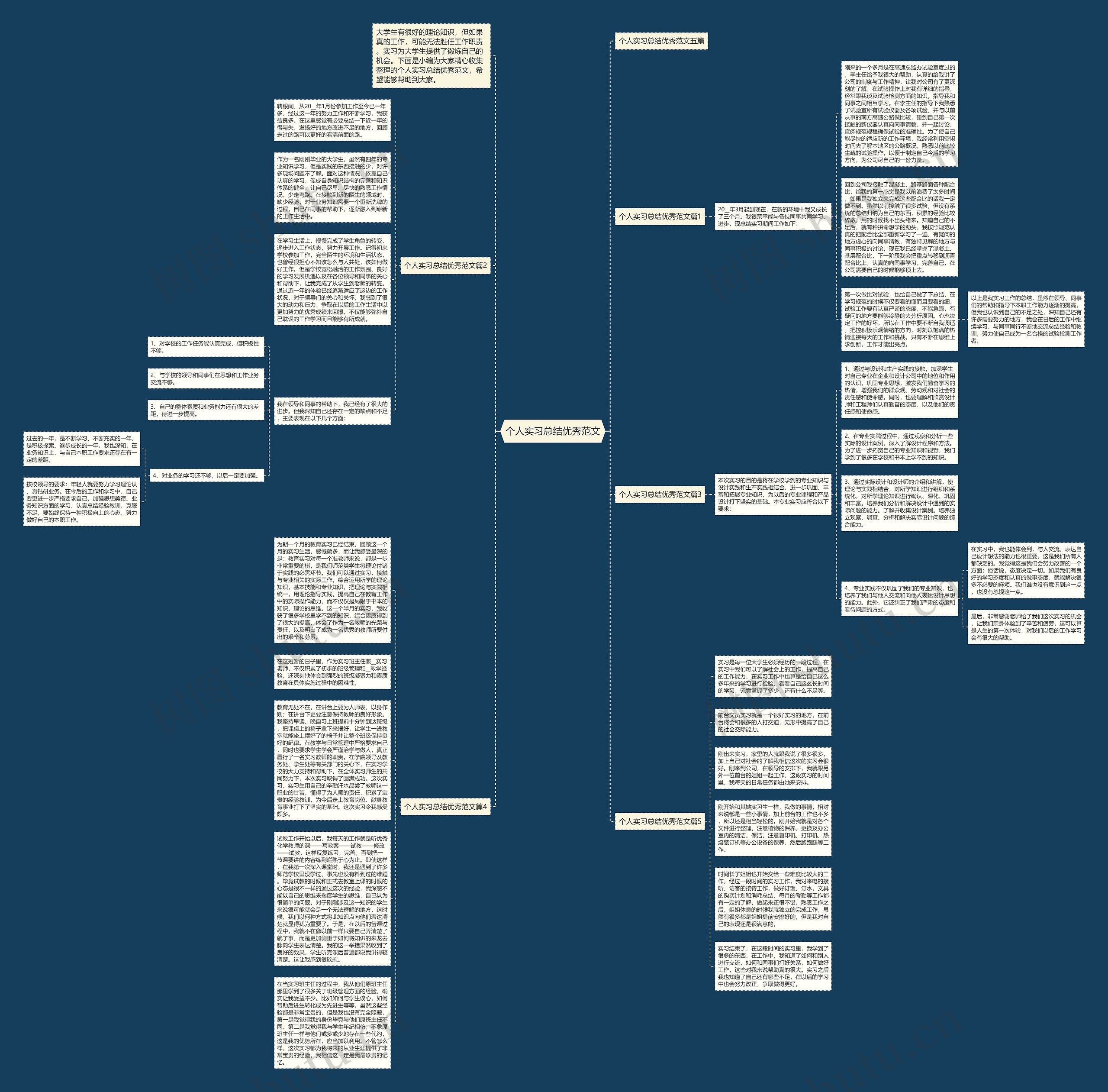个人实习总结优秀范文思维导图
