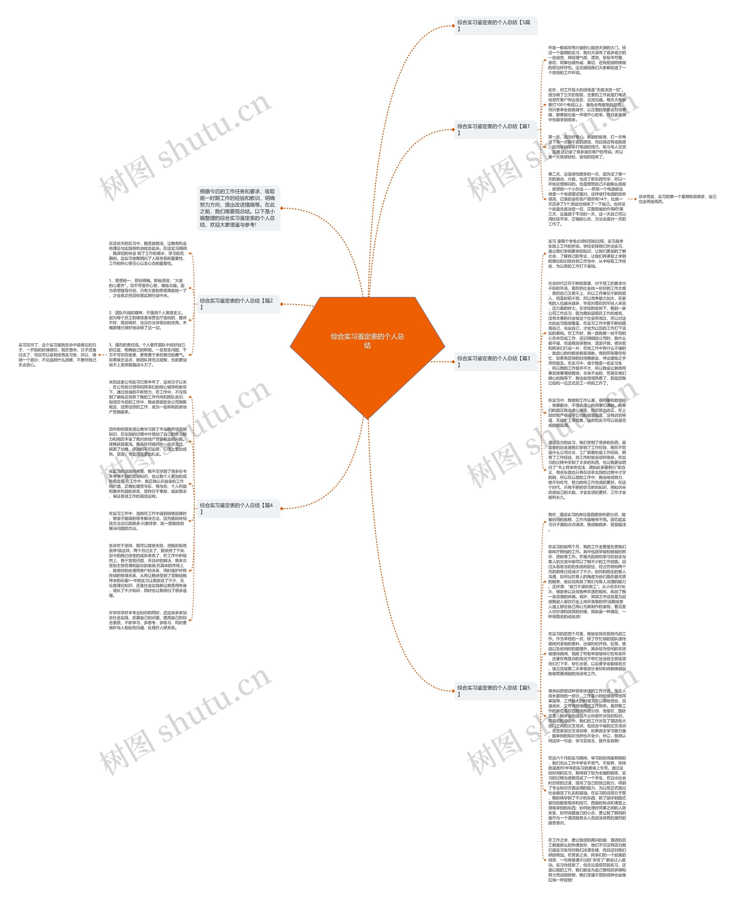 综合实习鉴定表的个人总结思维导图