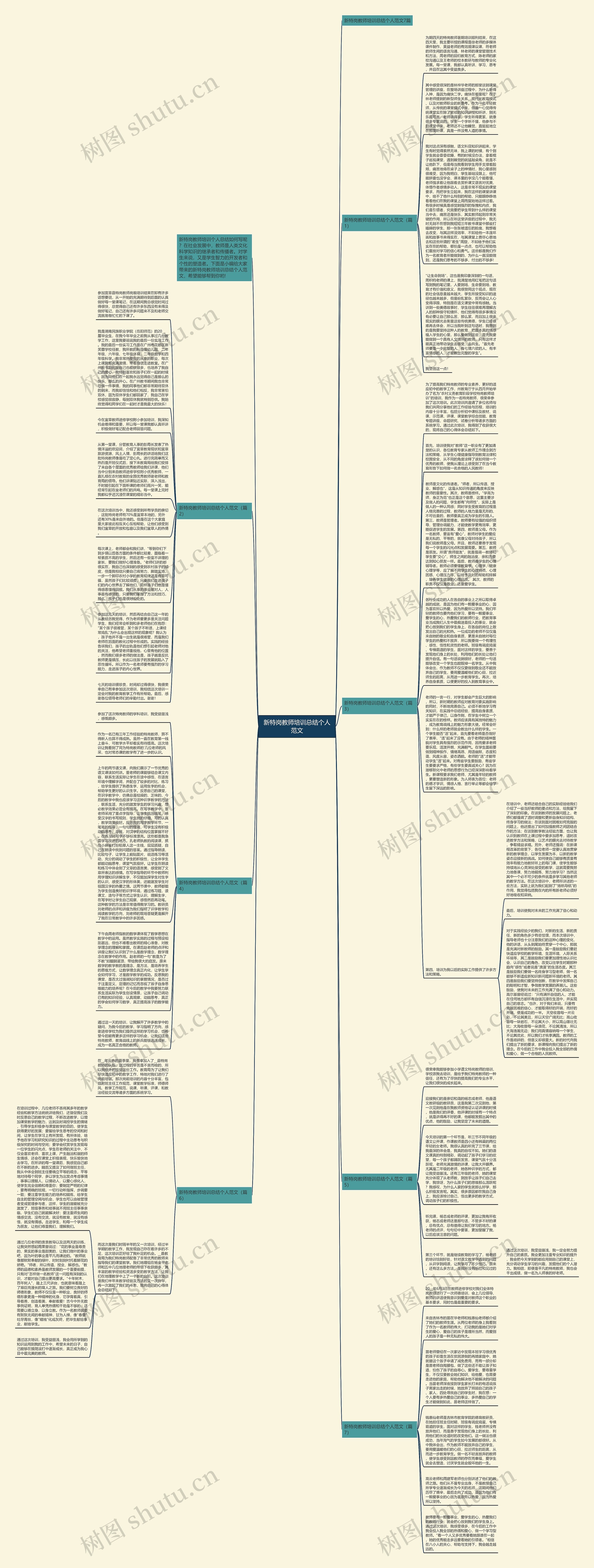 新特岗教师培训总结个人范文思维导图