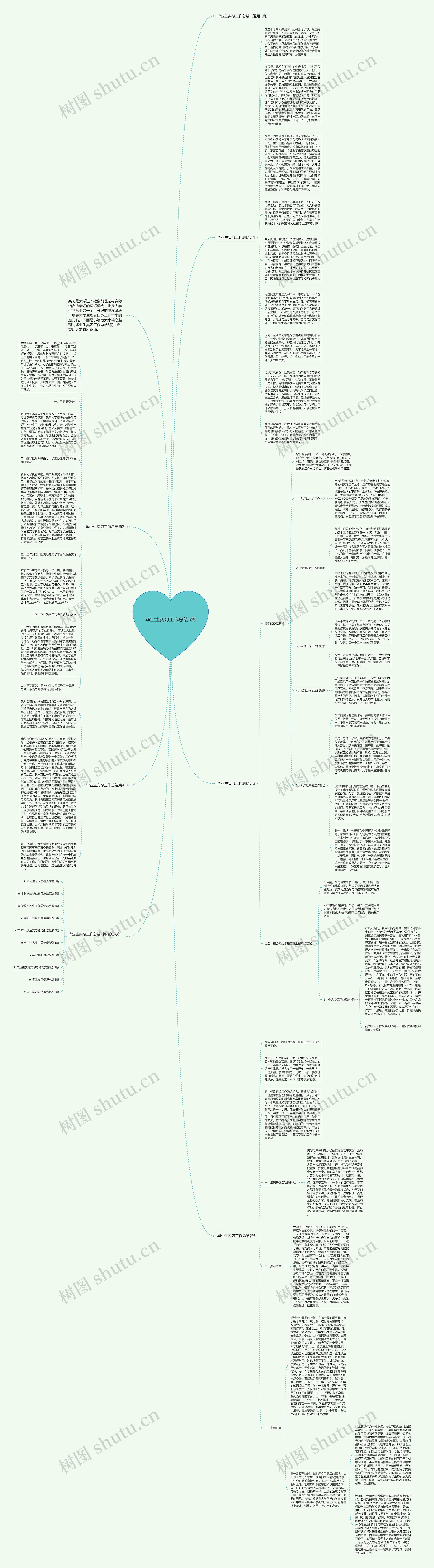 毕业生实习工作总结5篇思维导图