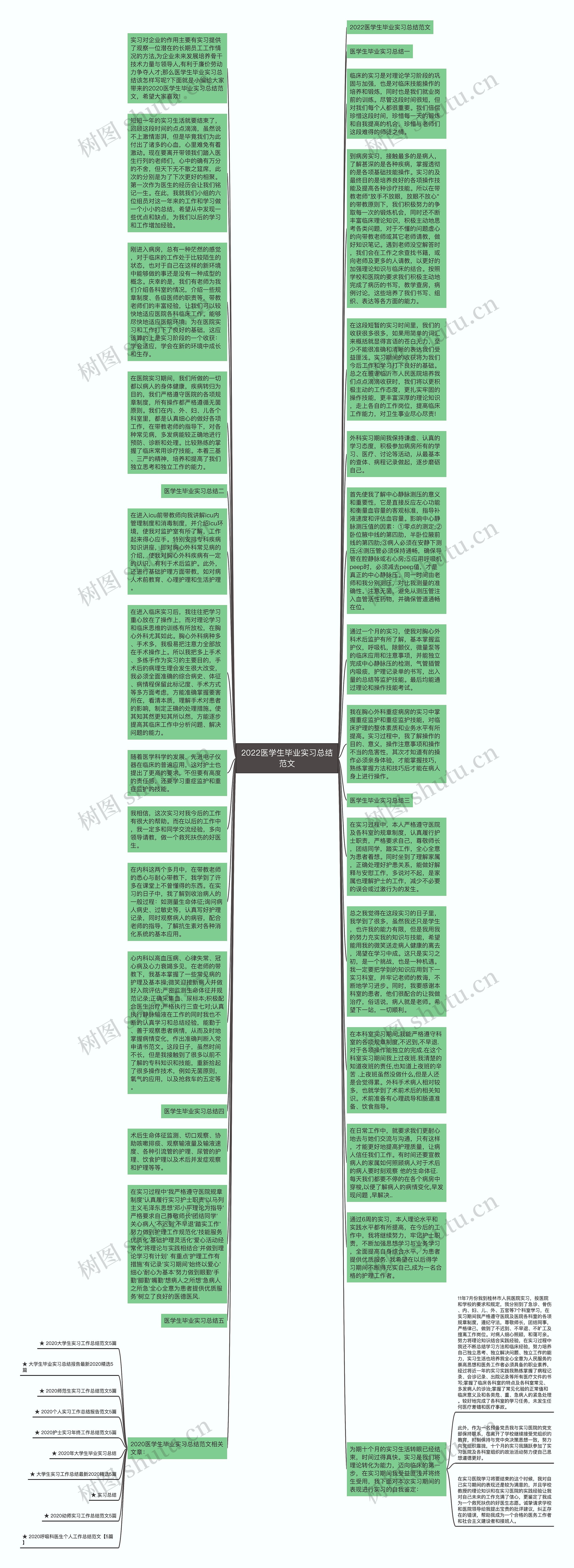 2022医学生毕业实习总结范文思维导图