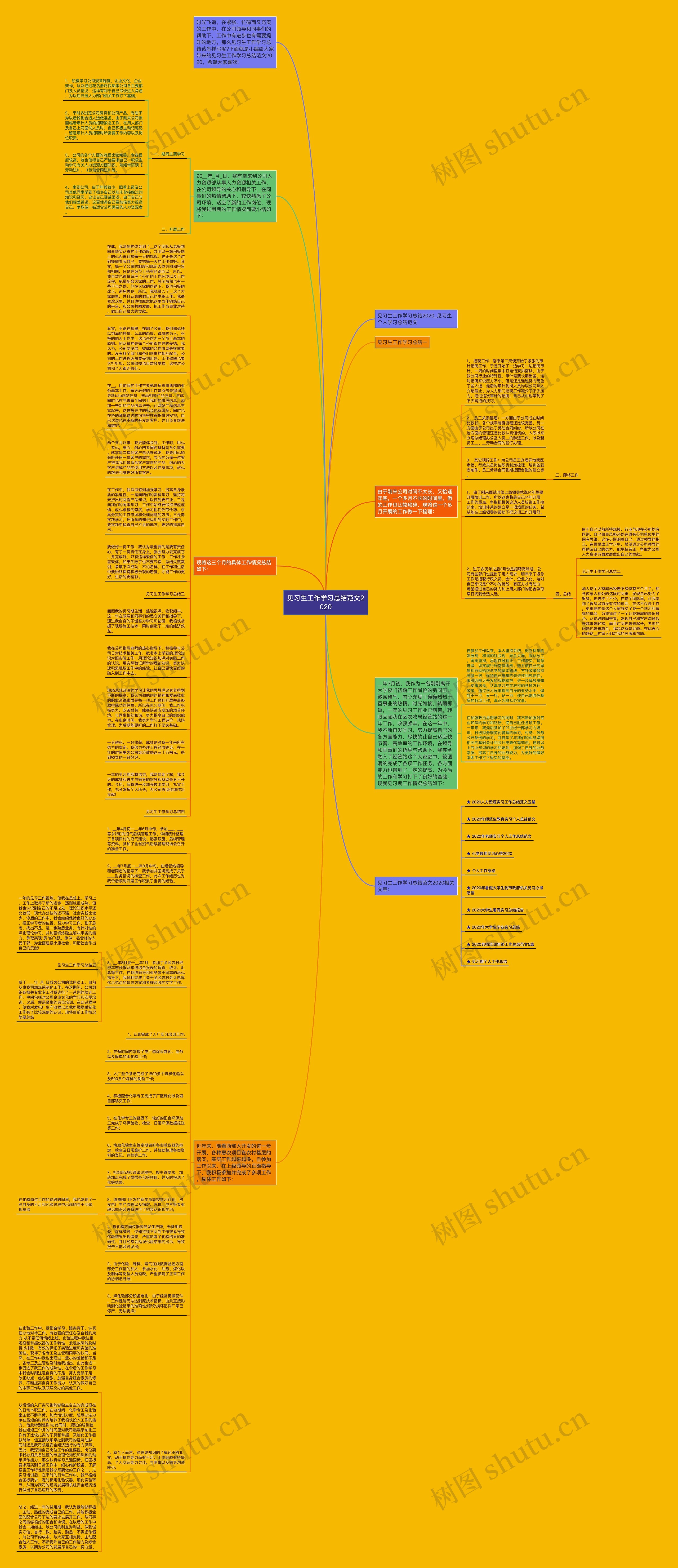 见习生工作学习总结范文2020思维导图
