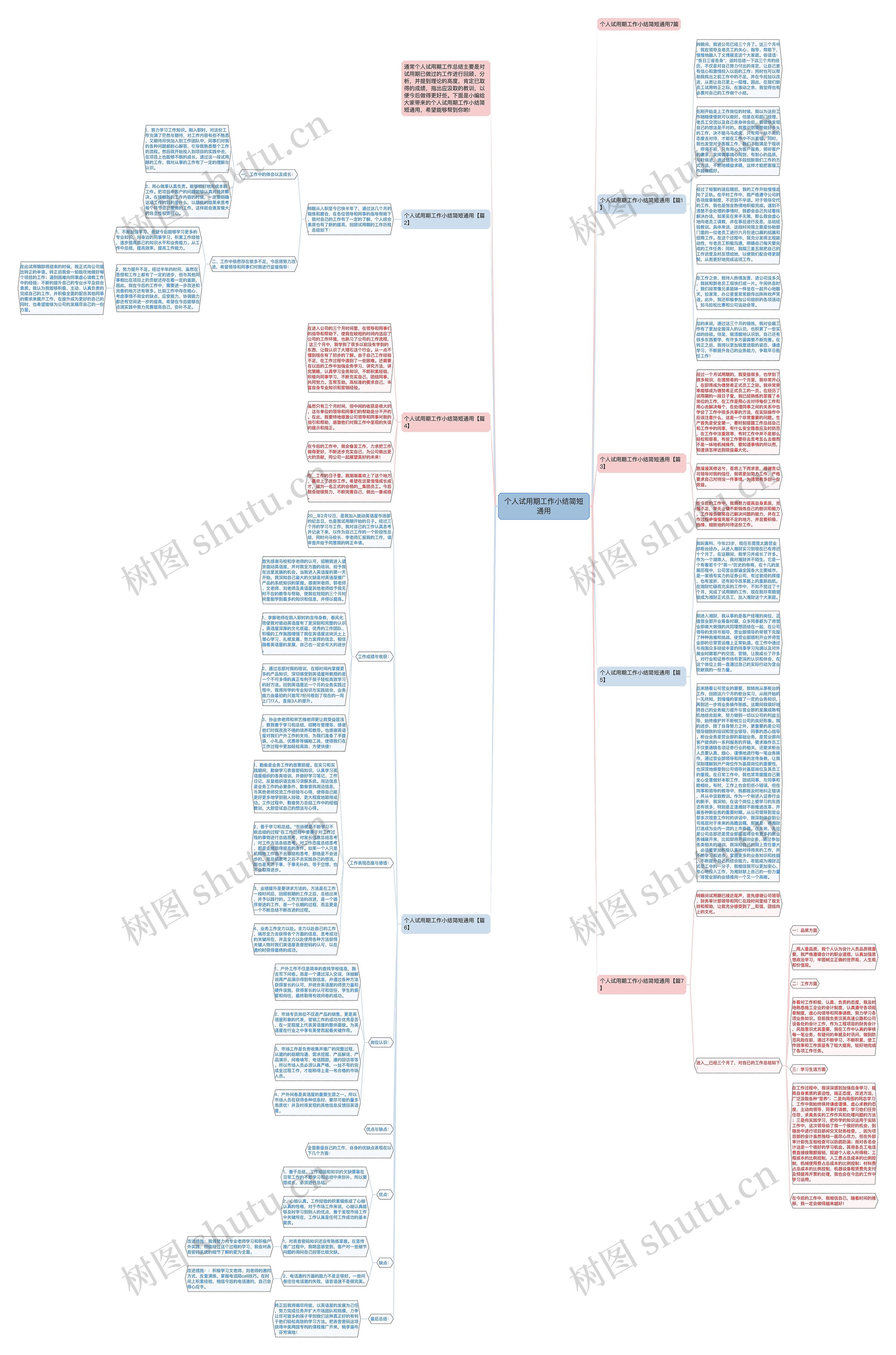 个人试用期工作小结简短通用思维导图