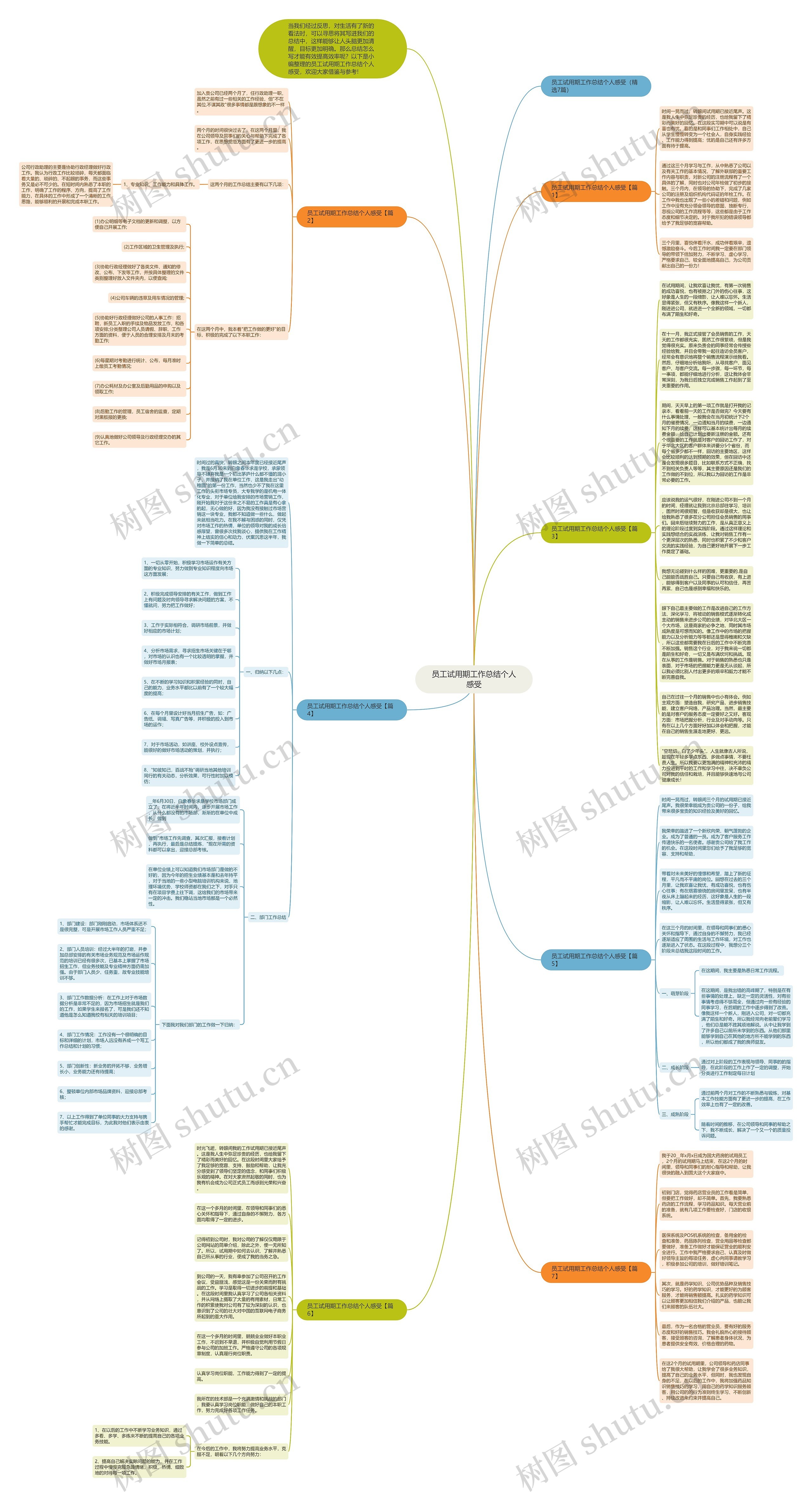 员工试用期工作总结个人感受思维导图
