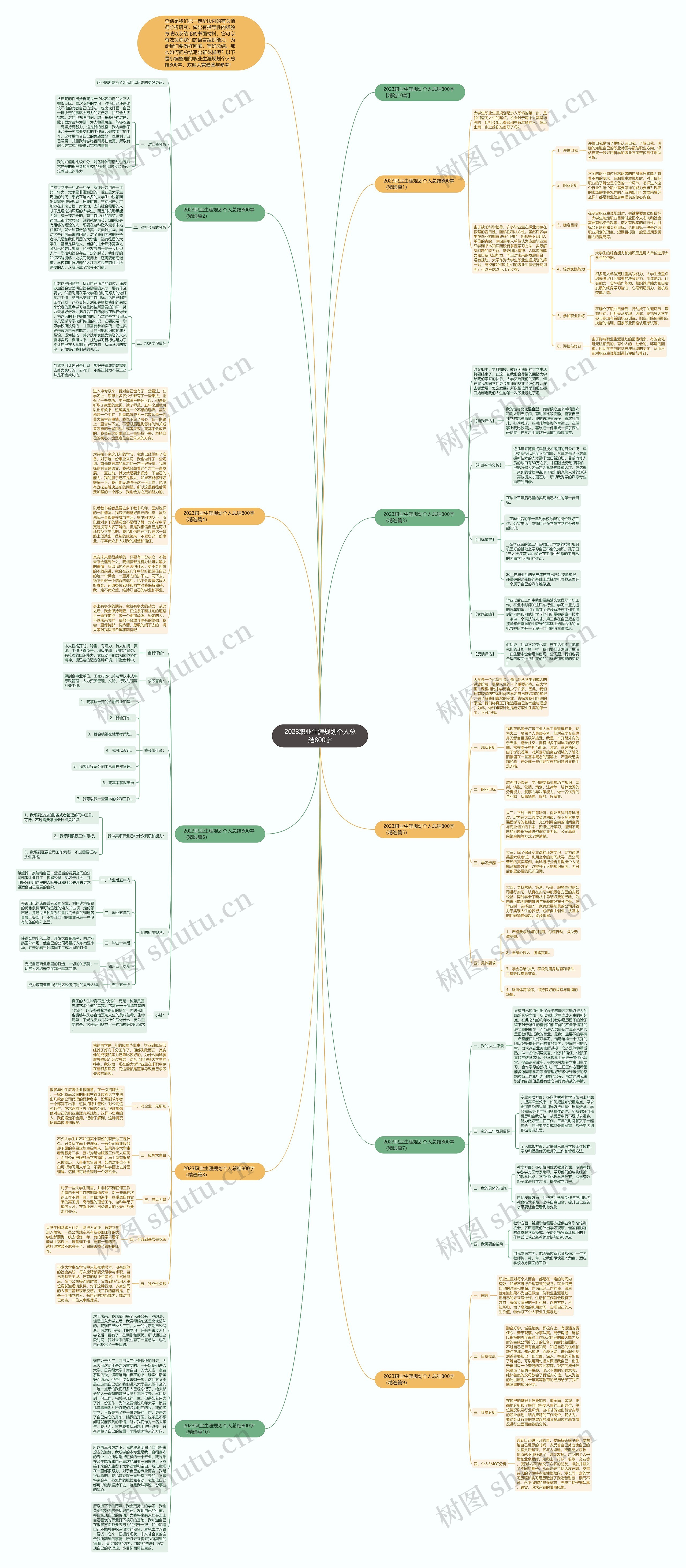 2023职业生涯规划个人总结800字思维导图