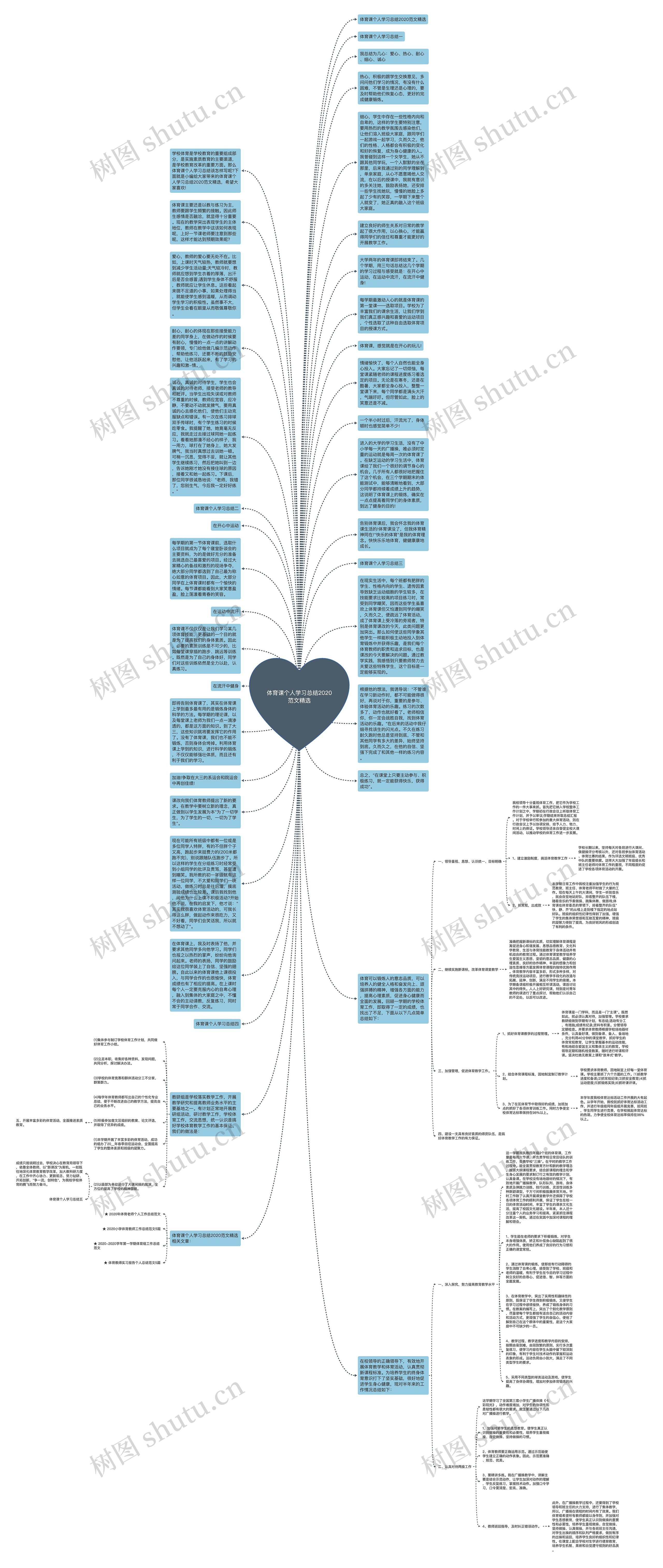 体育课个人学习总结2020范文精选思维导图