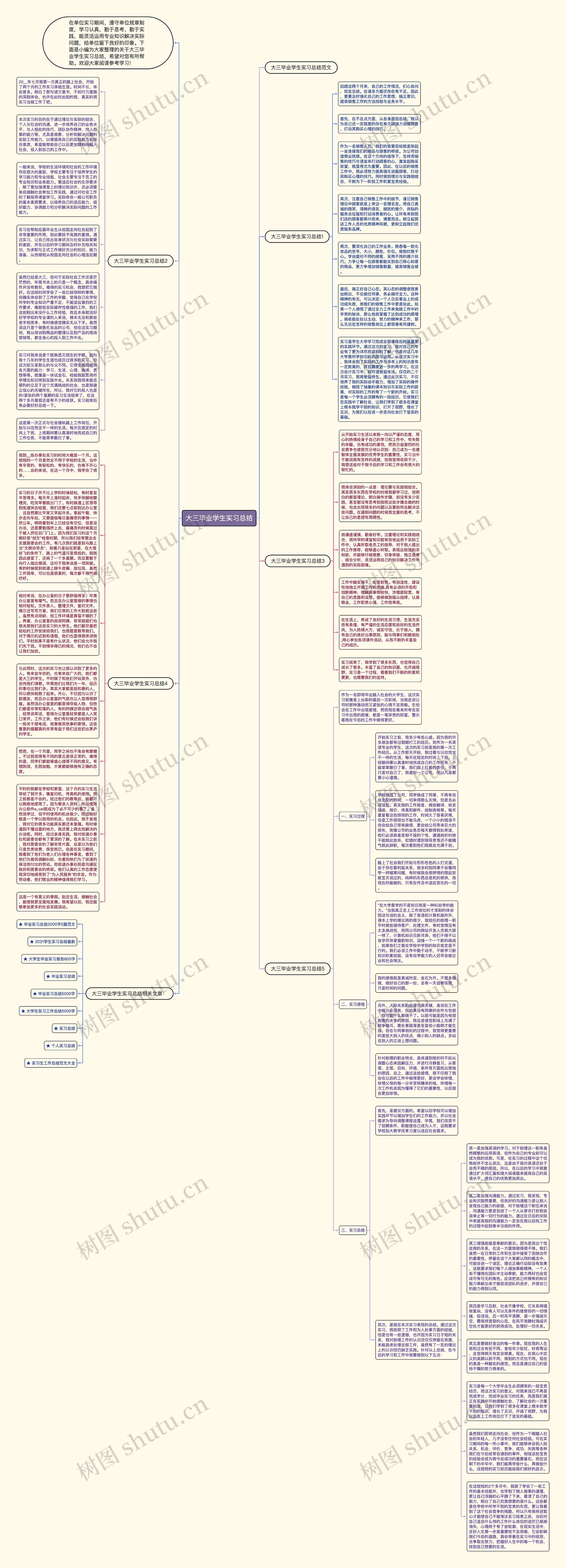 大三毕业学生实习总结思维导图