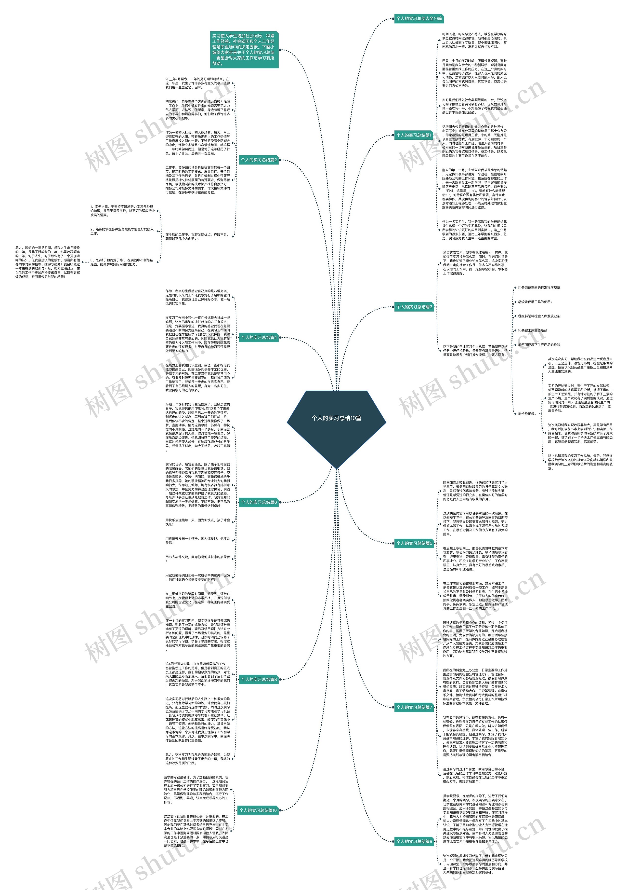 个人的实习总结10篇思维导图