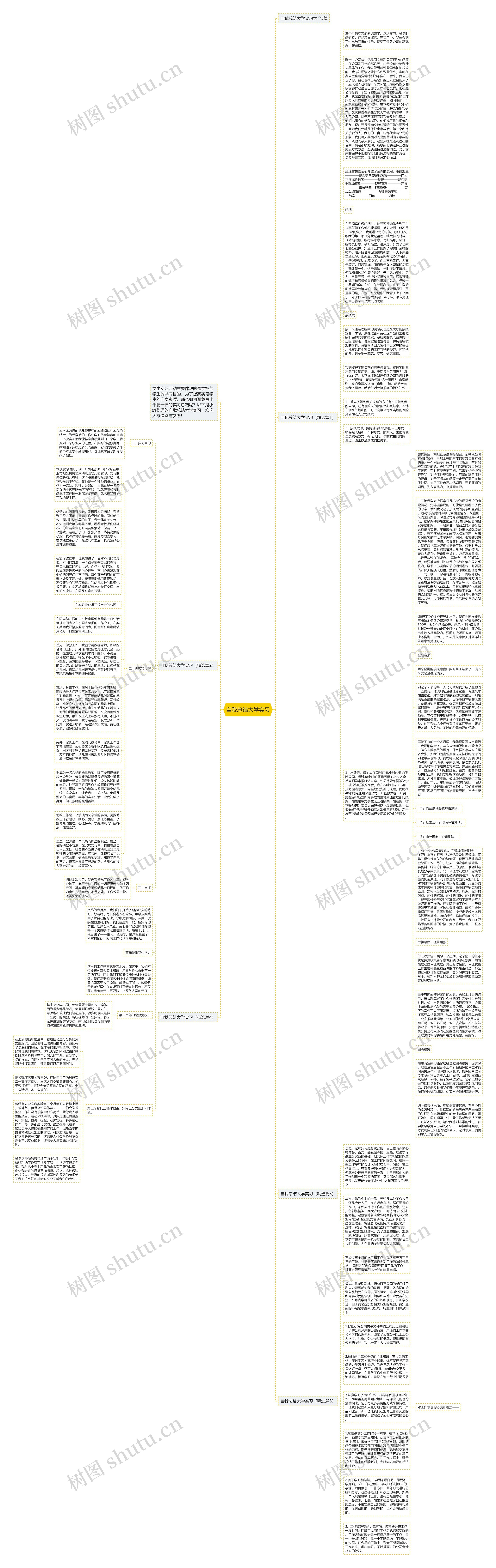 自我总结大学实习思维导图