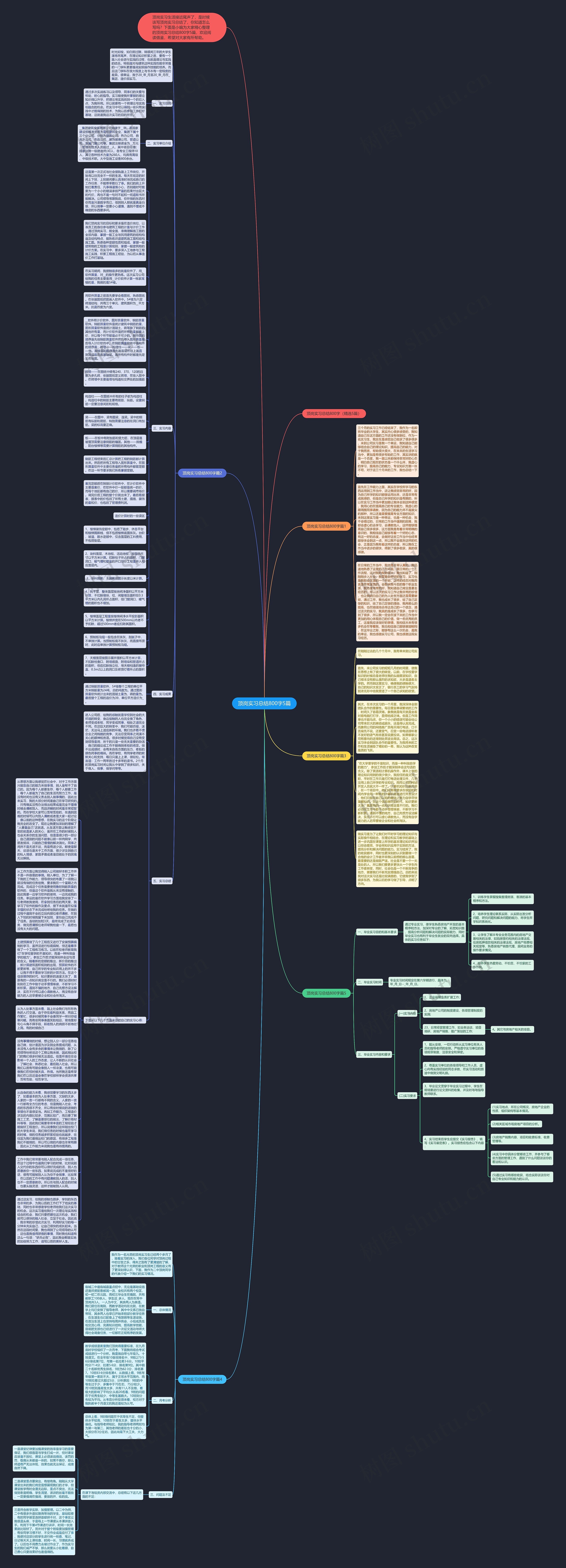顶岗实习总结800字5篇思维导图
