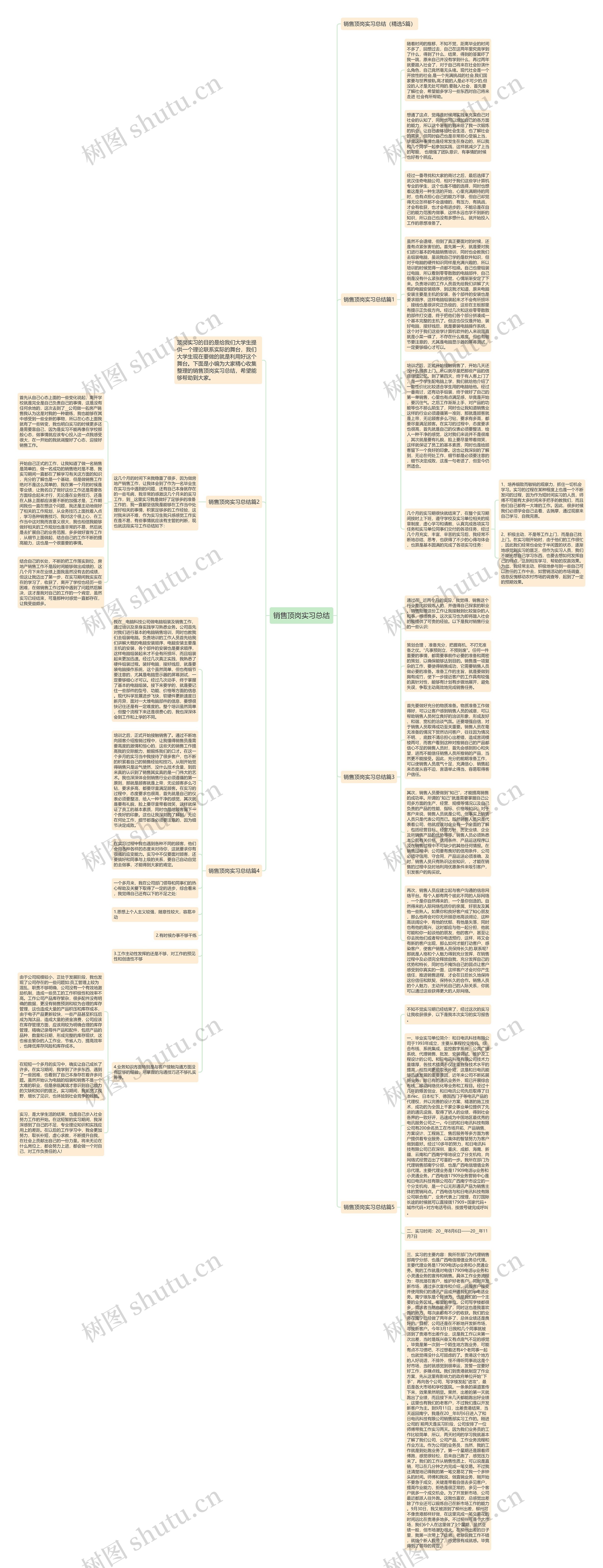 销售顶岗实习总结思维导图