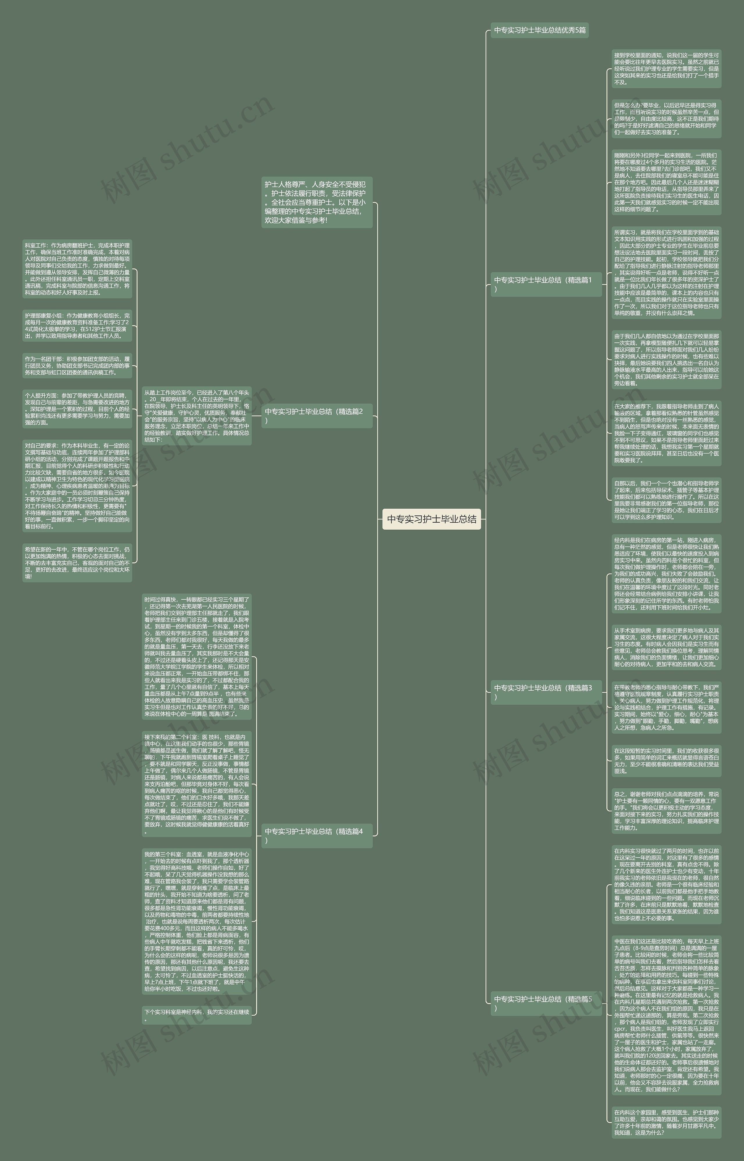 中专实习护士毕业总结思维导图