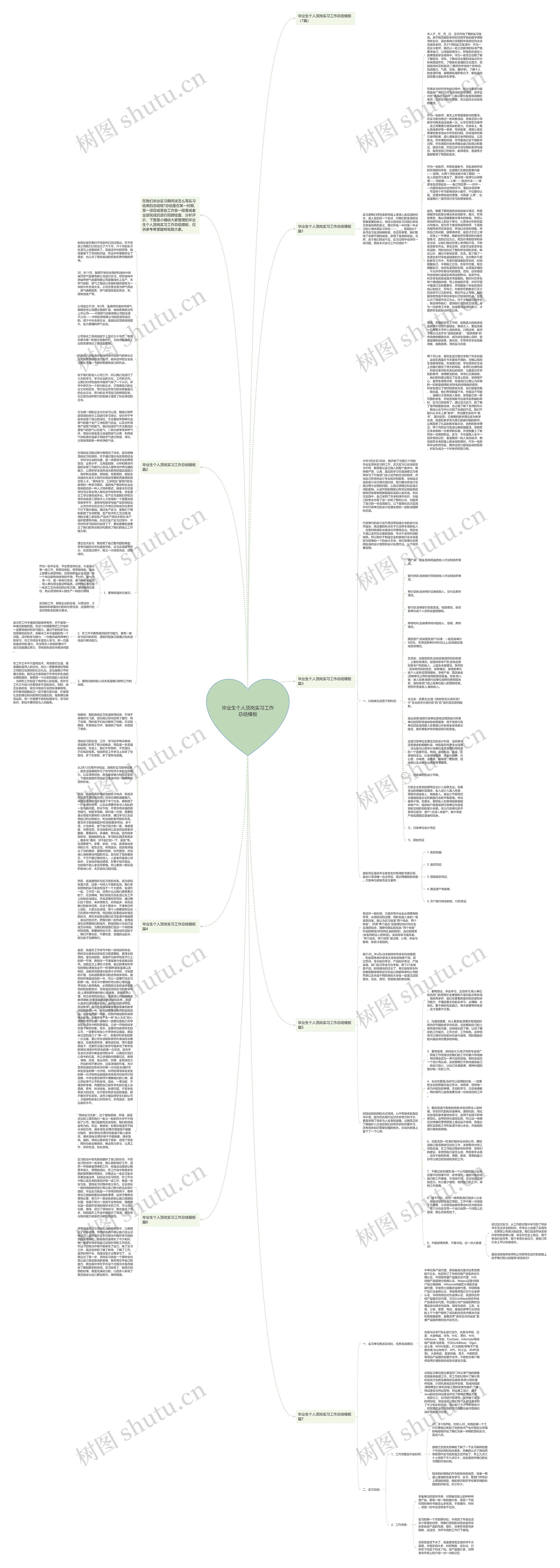 毕业生个人顶岗实习工作总结思维导图