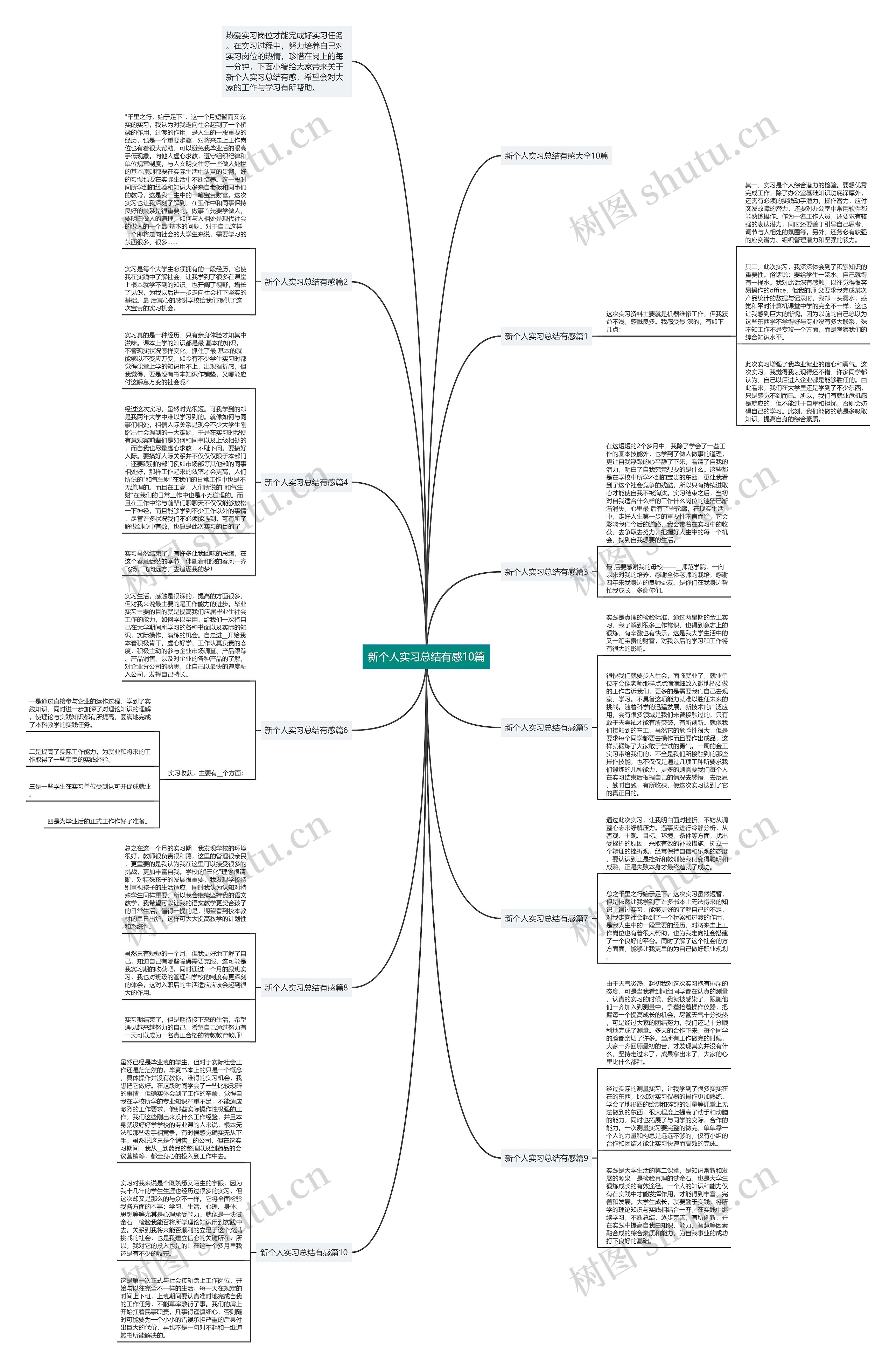 新个人实习总结有感10篇思维导图