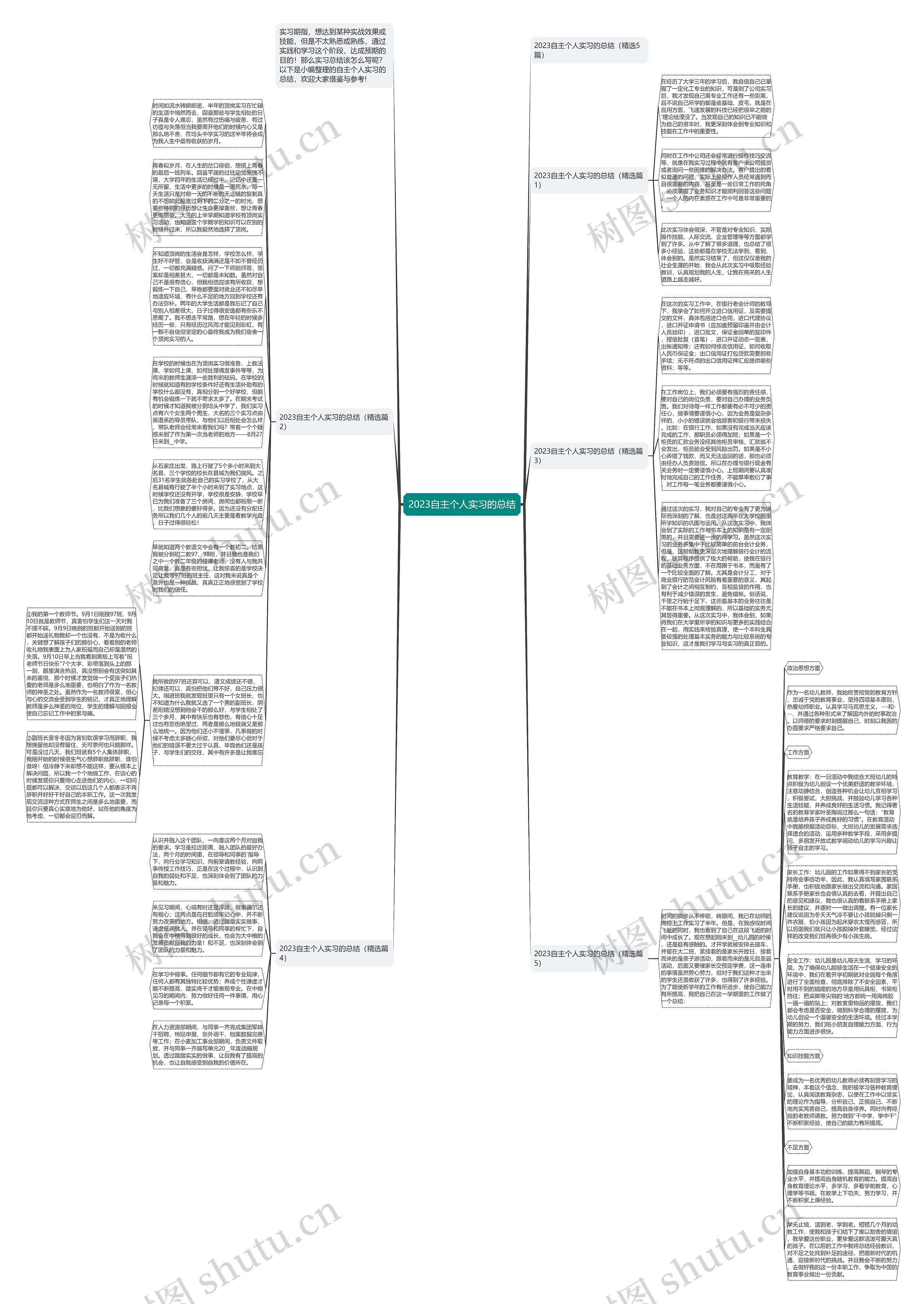 2023自主个人实习的总结思维导图