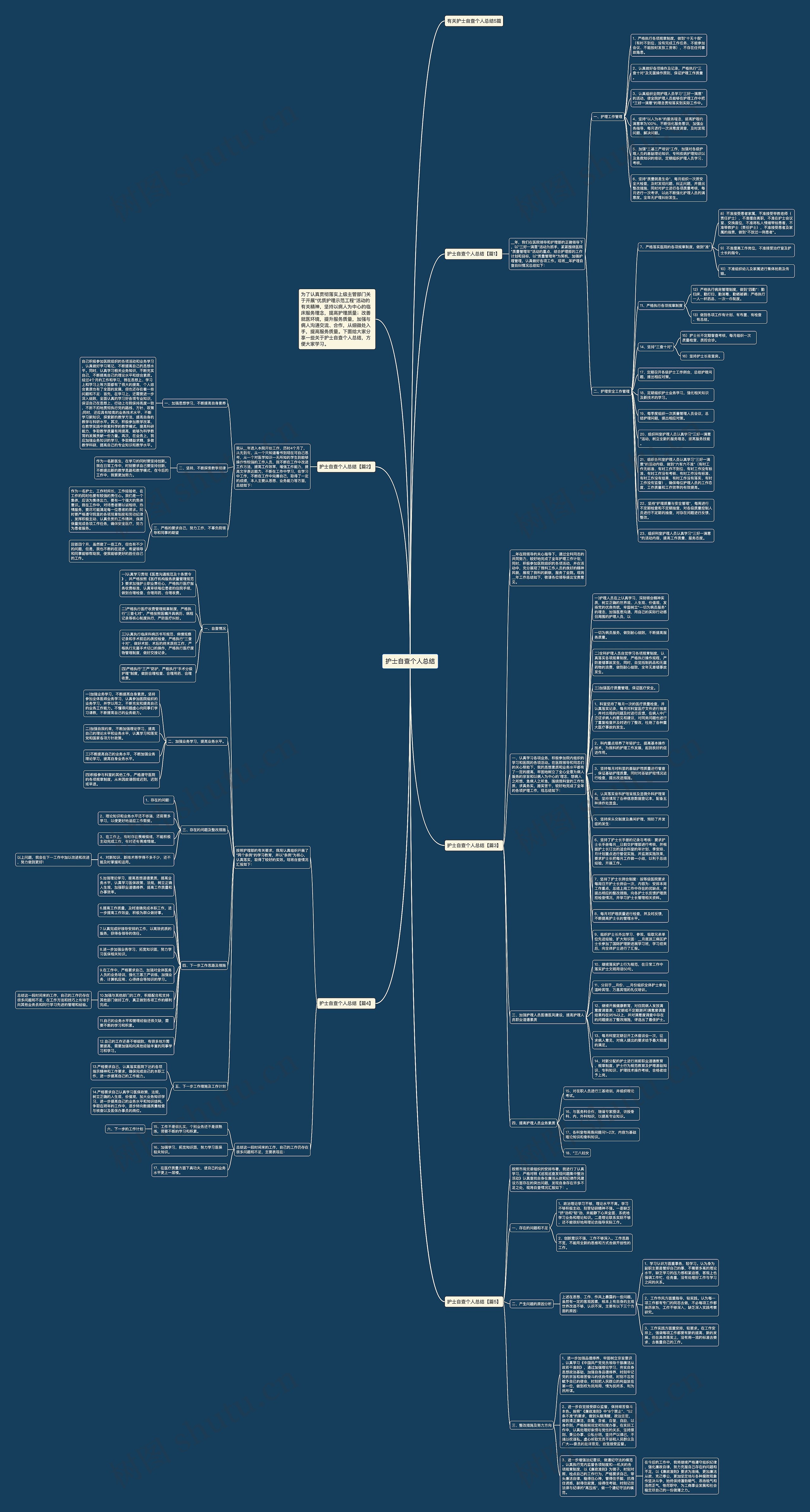 护士自查个人总结思维导图