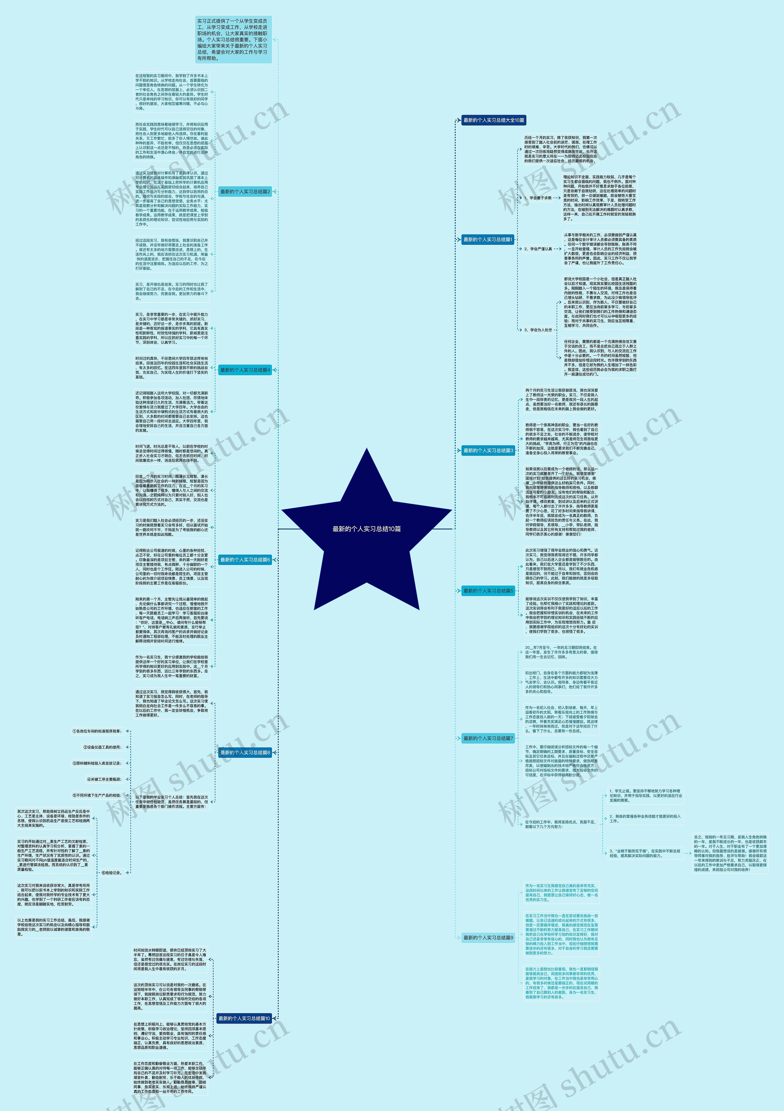 最新的个人实习总结10篇思维导图